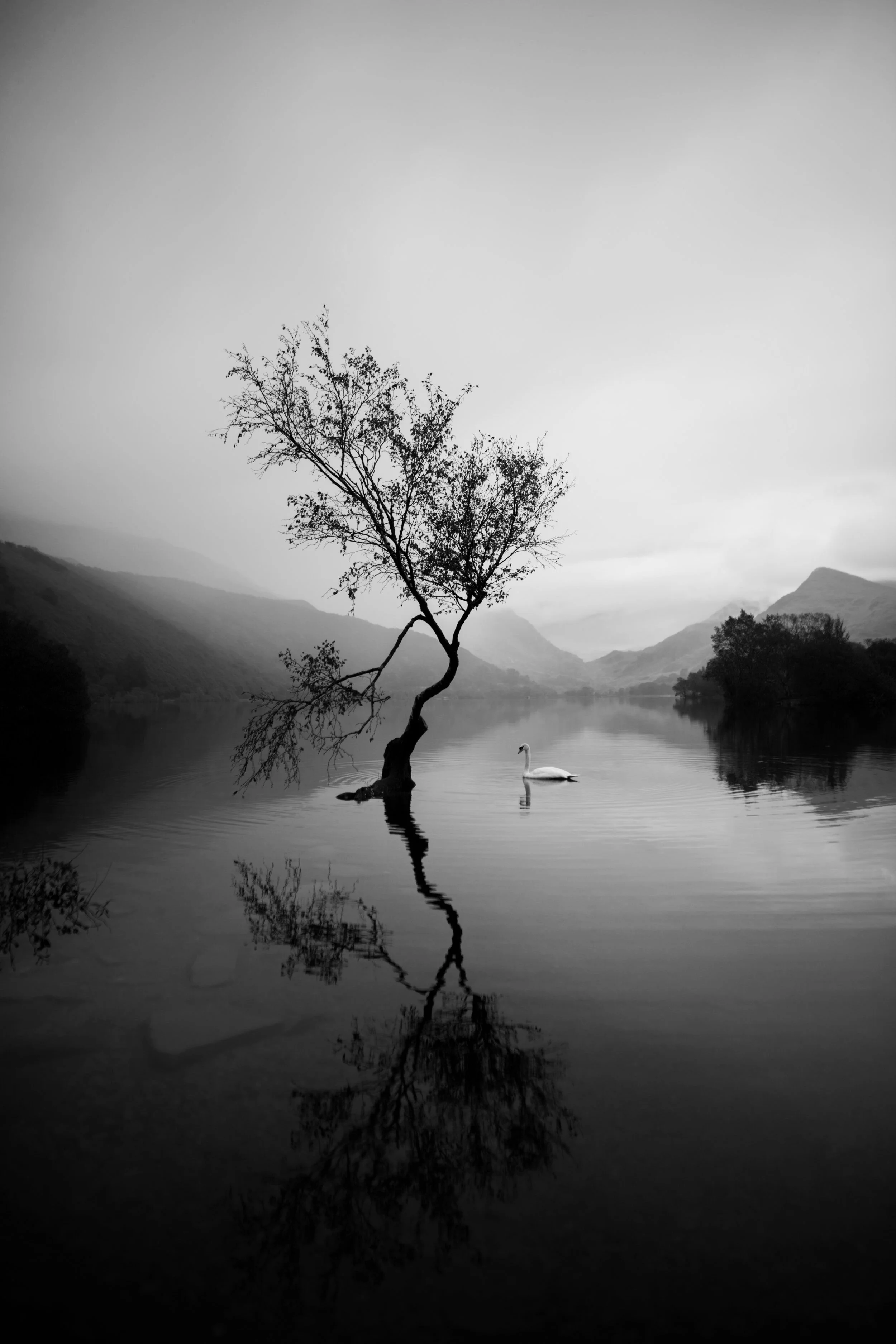 Poem: Son, Do You...