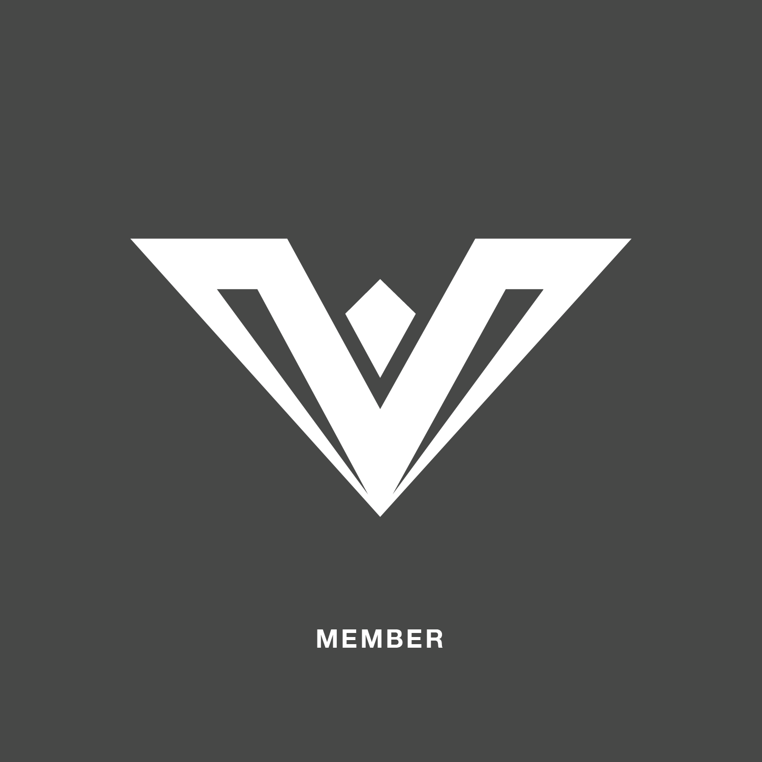 WarriorLifeGroup_Member_Logo.png