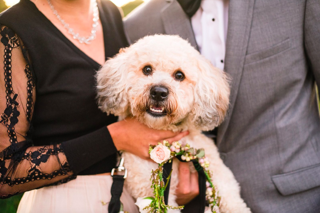 3 Ways to Personalize Your Wedding Ceremony