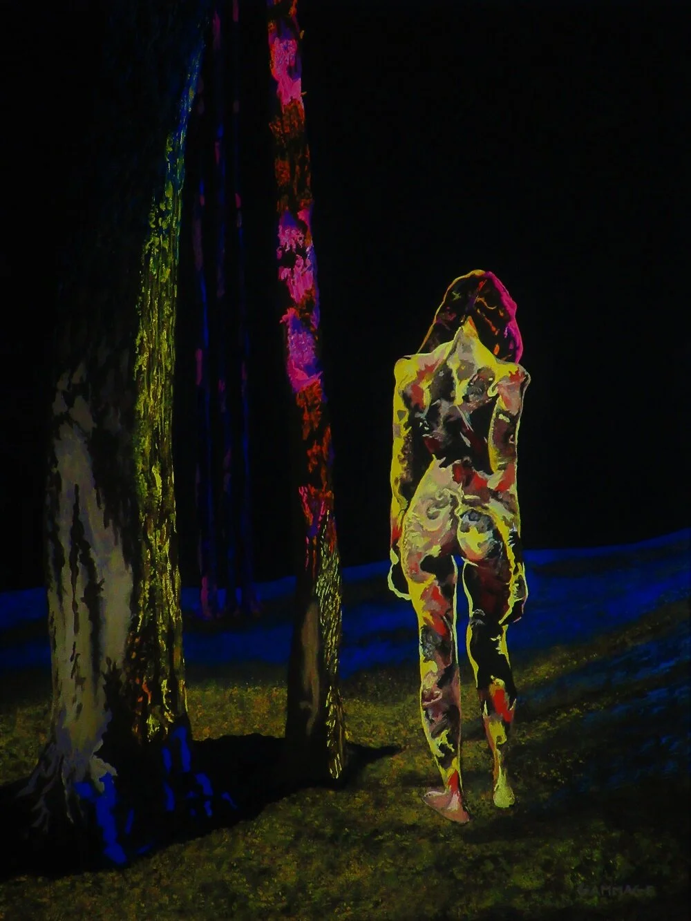 SITEp - No Path to Follow_Bryan Gammage.JPG