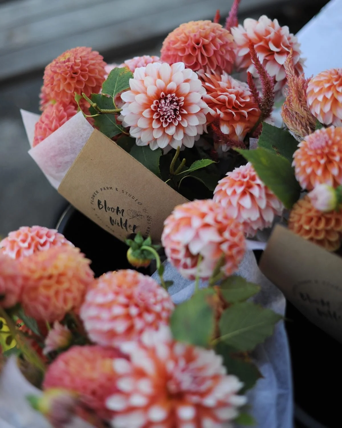 Thanks to all our visitors that have made an order and picked up a &ldquo;Dahlia Love&rdquo; bunch. We&rsquo;ve been setting out bouquets and letting folks choose their favorite palette. Get some for yourself through Saturday.

The dahlias are plenti