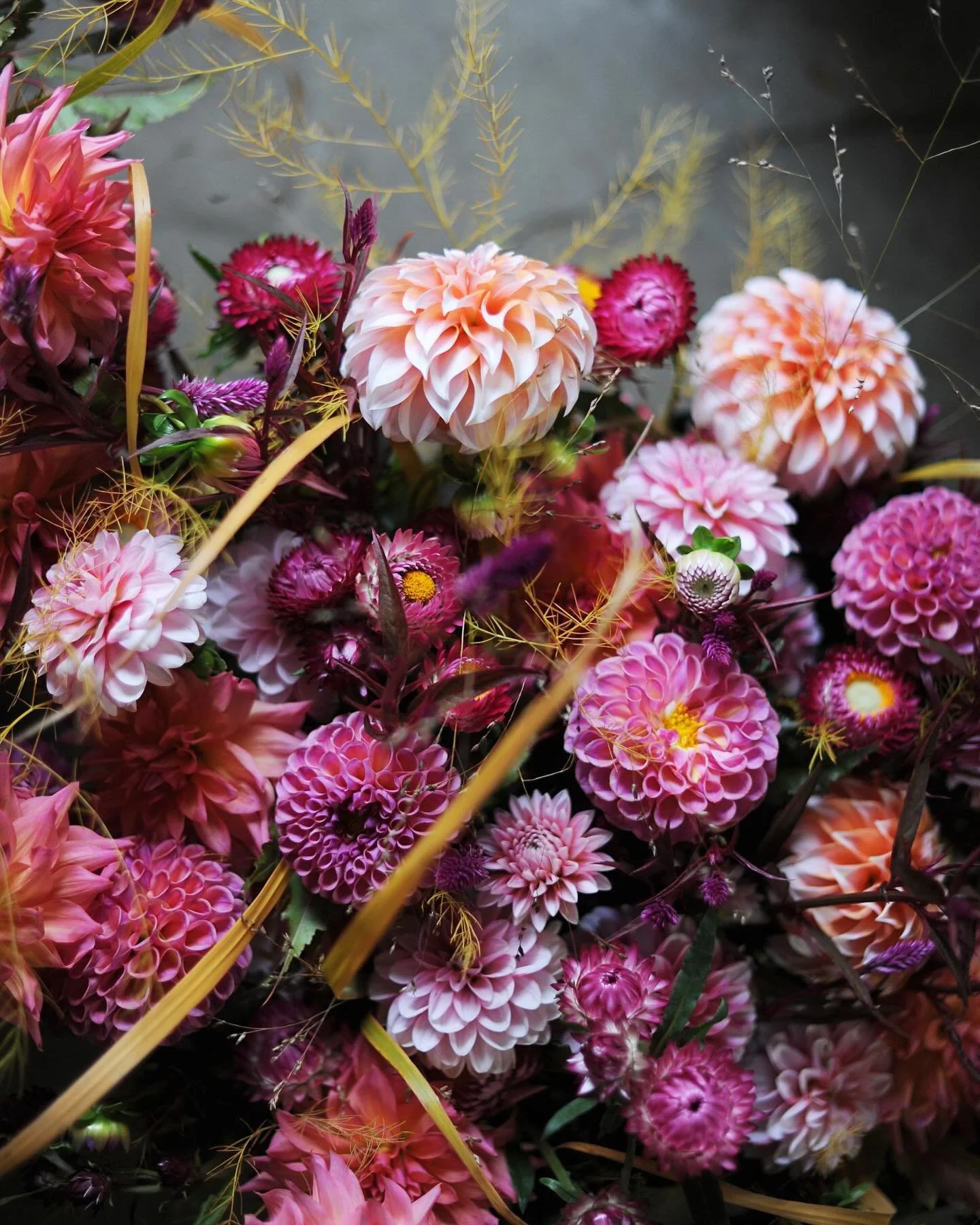 Last week of flowers&hellip; winding up our farm and it&rsquo;s the final chance to grab a bouquet. We&rsquo;re playing with our last beauties this week ✨✨ Link in bio&hellip; Friday delivery/pickup

#dahliaseason #grownnotflown #duluthmn #myblooming