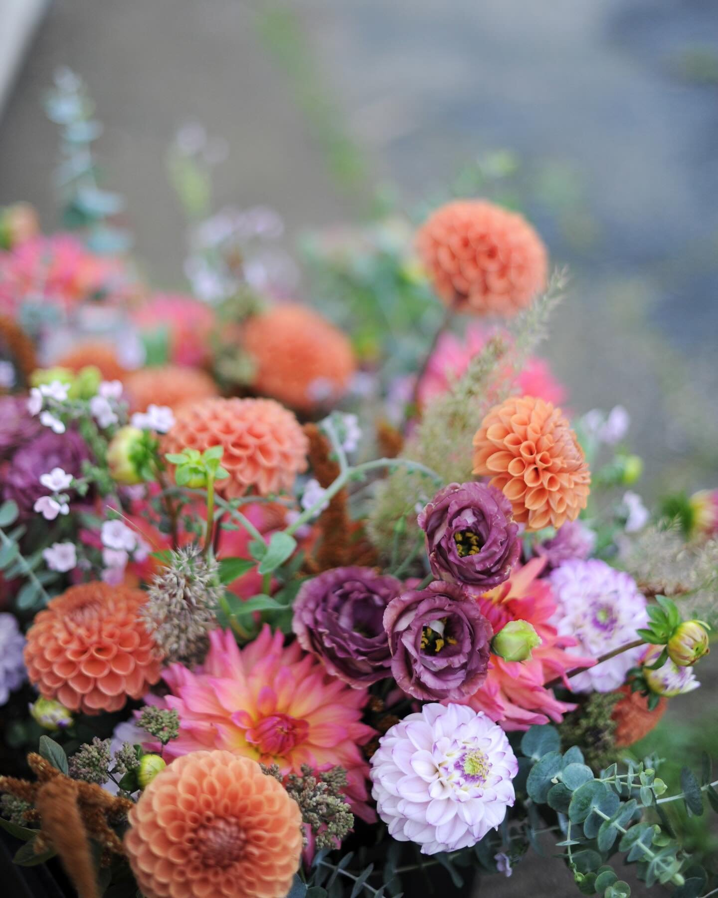 Here&rsquo;s 2025 highlights from our flower farm :) ✨✨✨

What a journey. And now &mdash; next season subscriptions are open! Enjoy the warm season with us and have a bouquet delivered to your door each week. 

Follow link in bio to see all the optio