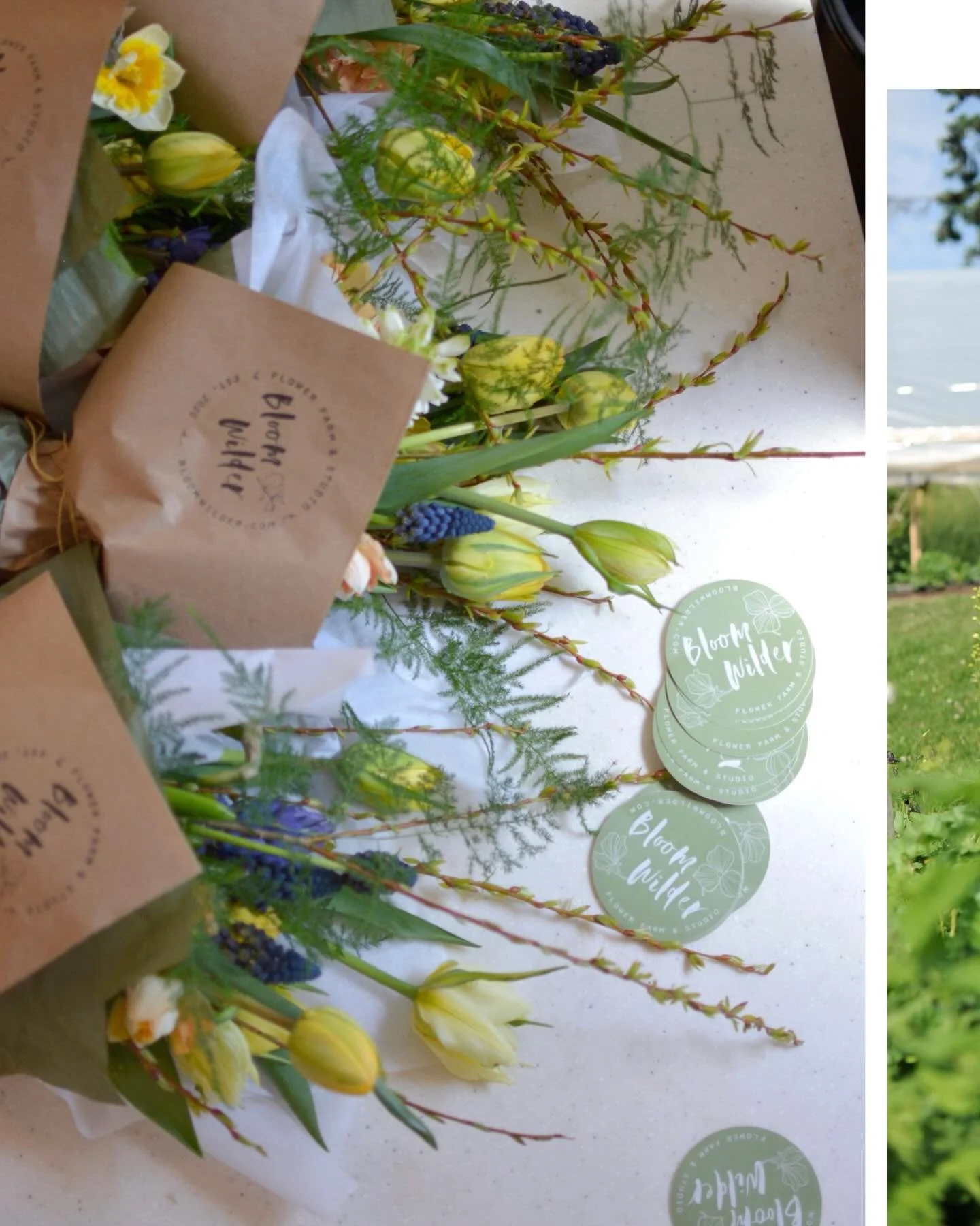 All the color of a season passed 🍃 Now white covers all and it&rsquo;s surreal to look back on the pink and orange and purple of 2025&hellip;

Learn about our 2026 weekly flower subscriptions on our website. We say it every winter but you can give t