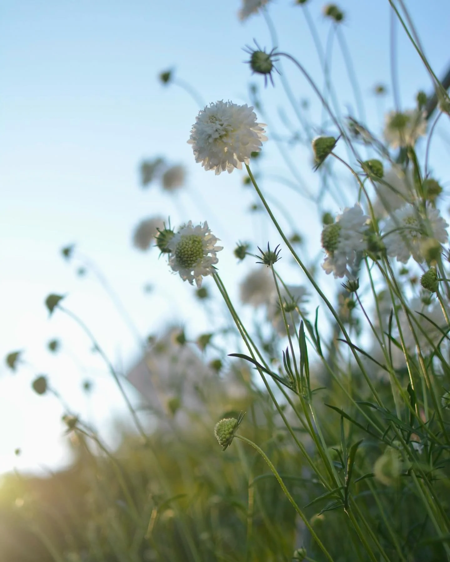 We&rsquo;re swirling in extremes of appreciation and sadness at the state of our Minnesota. It breaks and uplifts us. Maybe you&rsquo;re there, too. 

We can&rsquo;t forget what our mothers and mother nature has taught us &ndash; love, compassion, re
