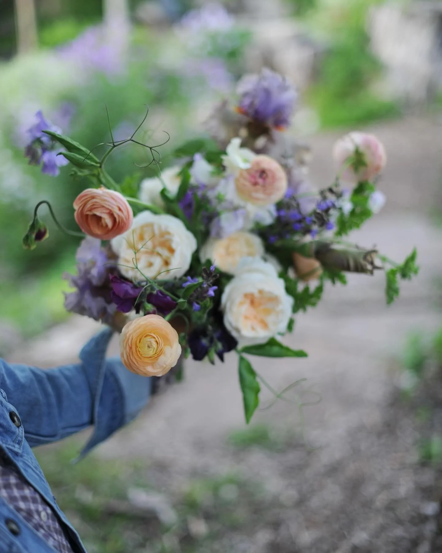 Early morning captures. That was a wild marathon of a weekend :) Soooo into this bouquet and it&rsquo;s purple haze ✨✨💜

#blooooms #beardediris #farmerflorist #duluthmn