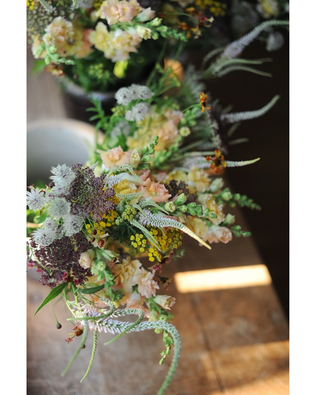 A study in texture&hellip;

#ammi 
#culversroot 
#astrantia 
#tansy 
#coreopsis