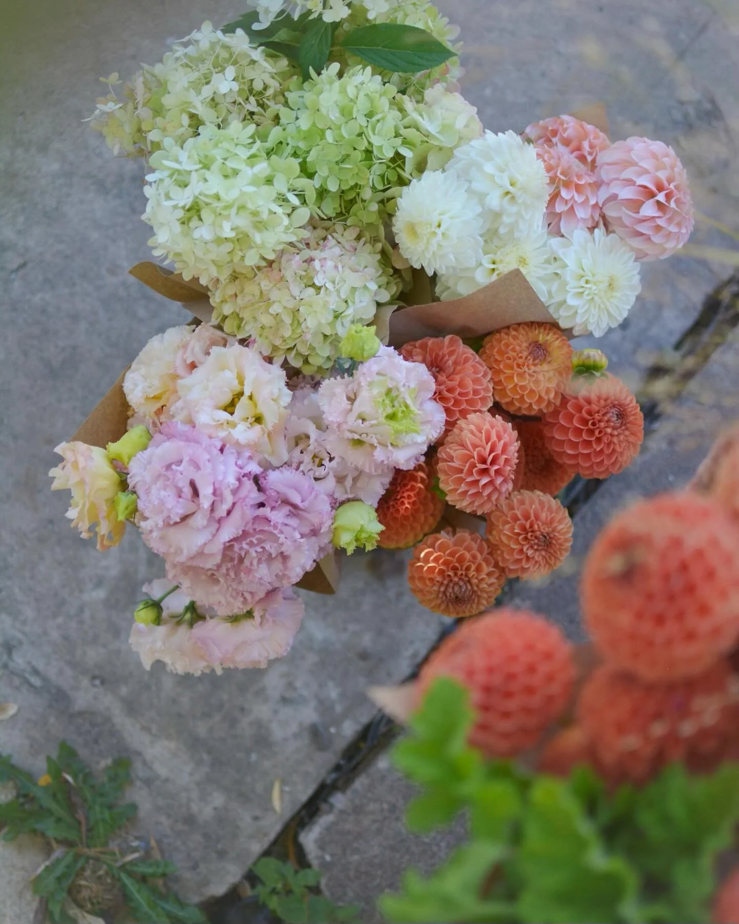 We love to help with a party. 🎊 Folks often want to fill their own collection of vases with colorful, aromatic blooms. Over the years we&rsquo;ve provided lots of loose flowers for special events. It&rsquo;s DIY flowers curated by Jae! 

Just added 