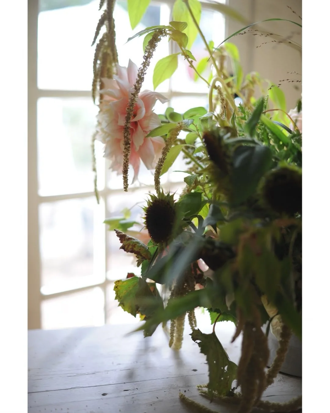 Simple ingredients with movement and mellow studio light.

#dahlia
#sunflowers 
#grapevine 
#switchgrass 
#riveroats