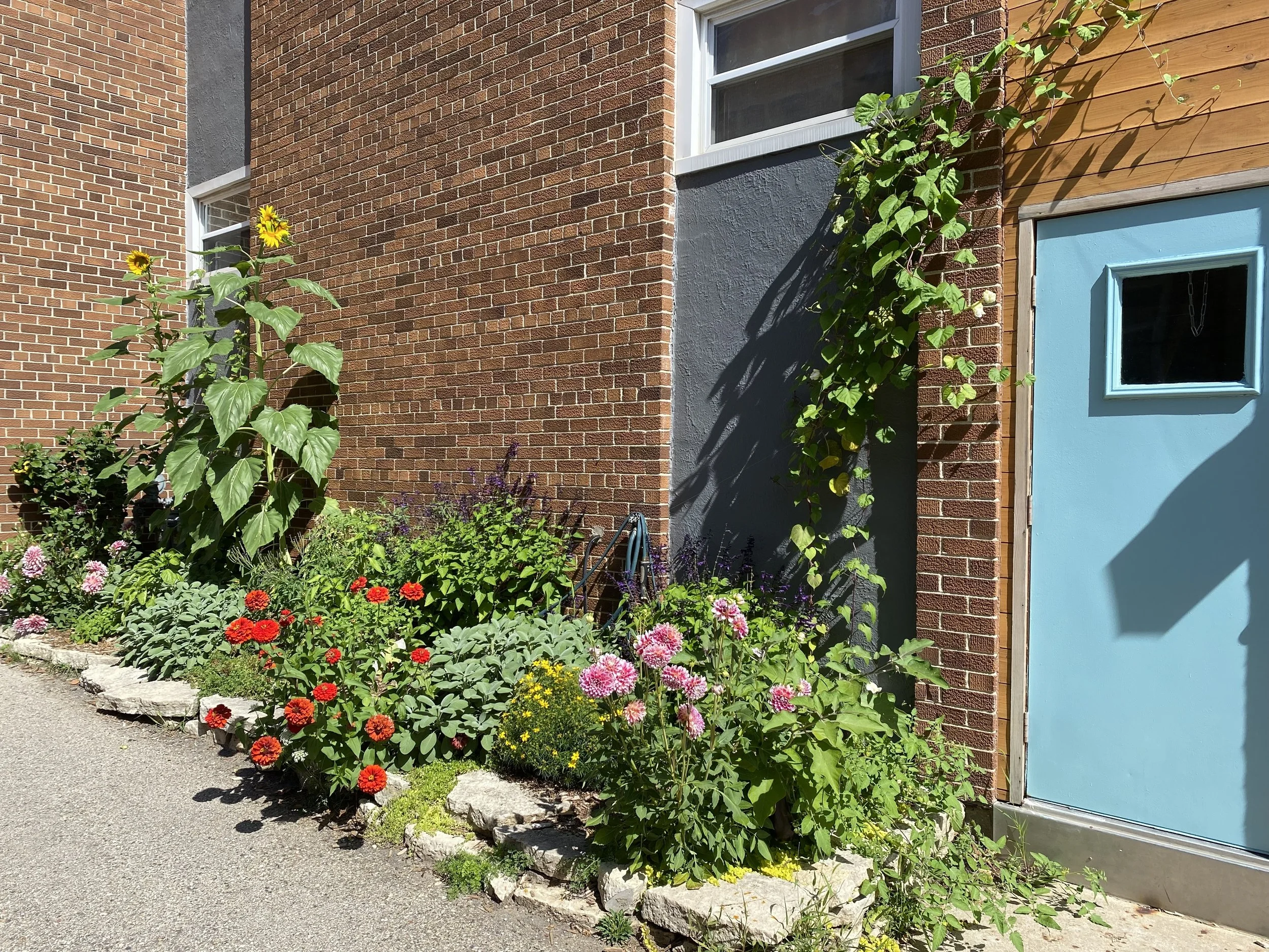 garden door.jpg
