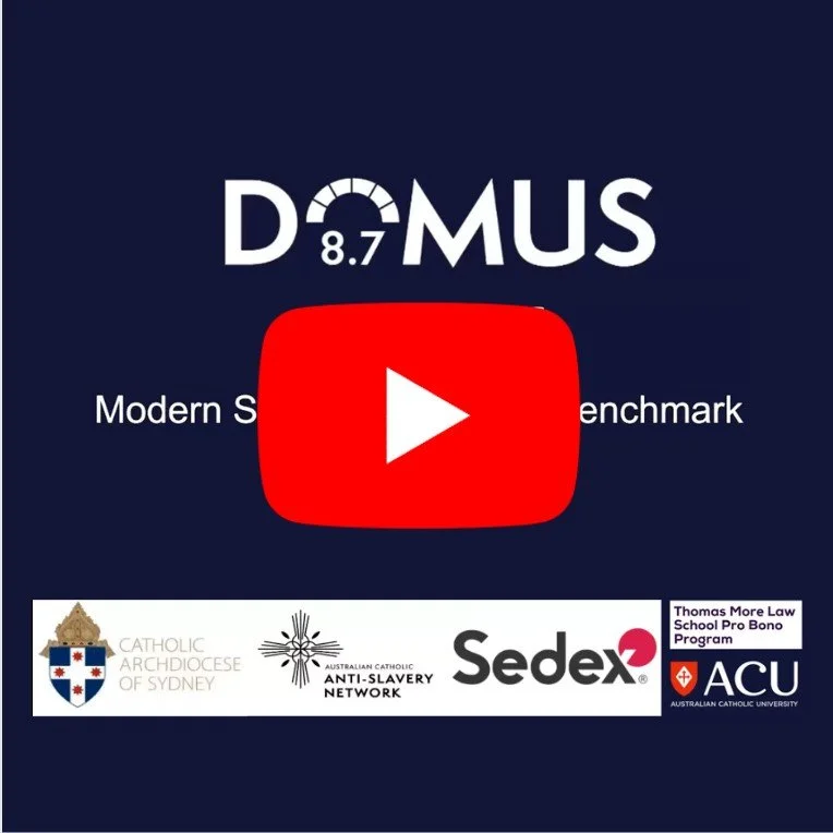 Domus 8.7 Index Modern Slavery Statement Benchmark