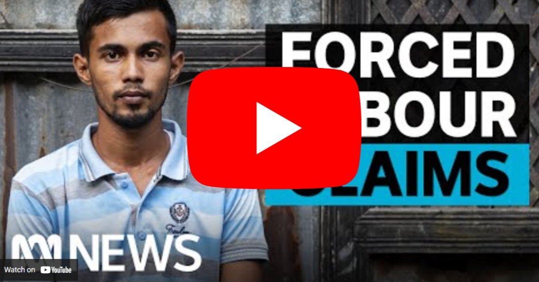 Ansell&nbsp;Rubber Gloves Allegations of Modern Slavery