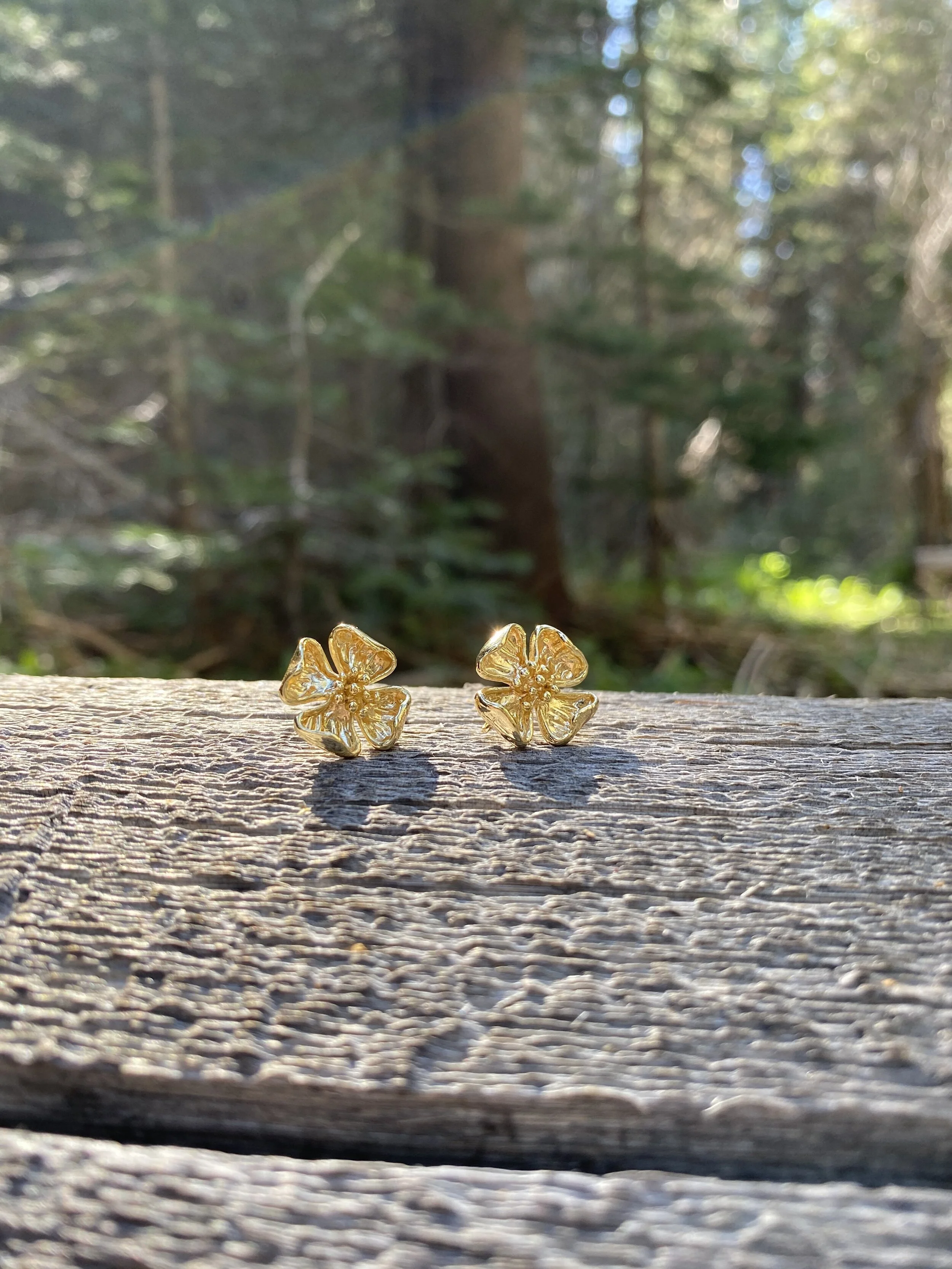 Flower Stud in Woods.jpg