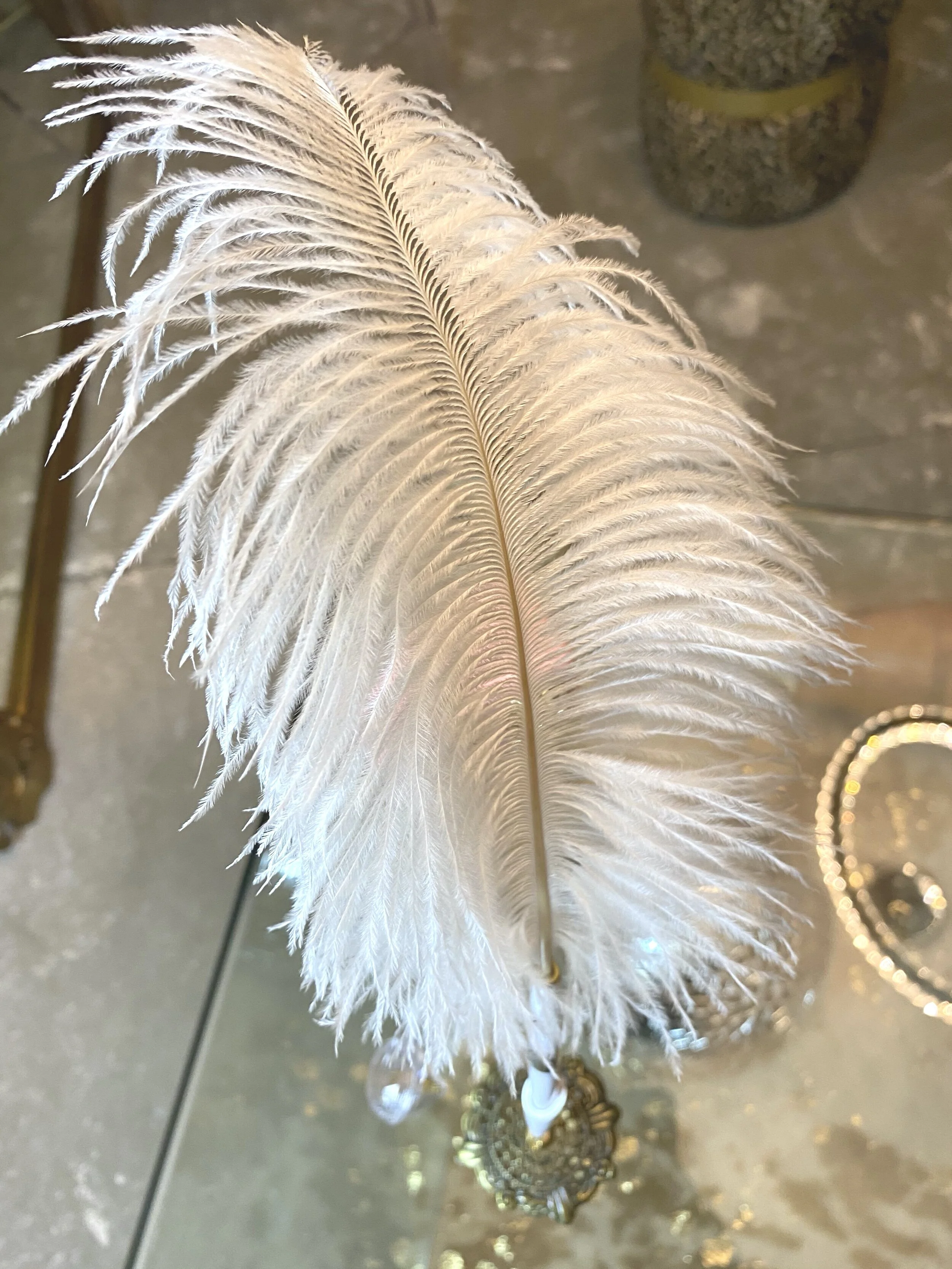 Feather+Pen2.jpg