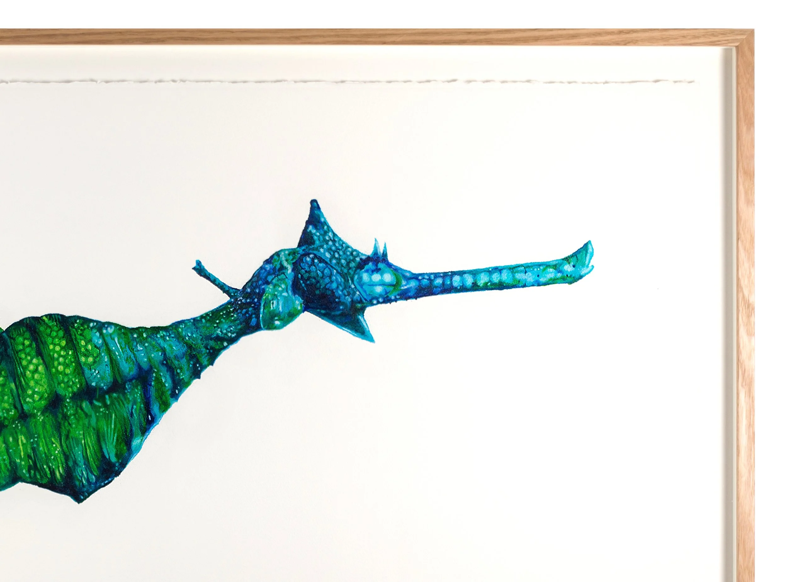Seadragon (Blue) Master Image copy.jpg