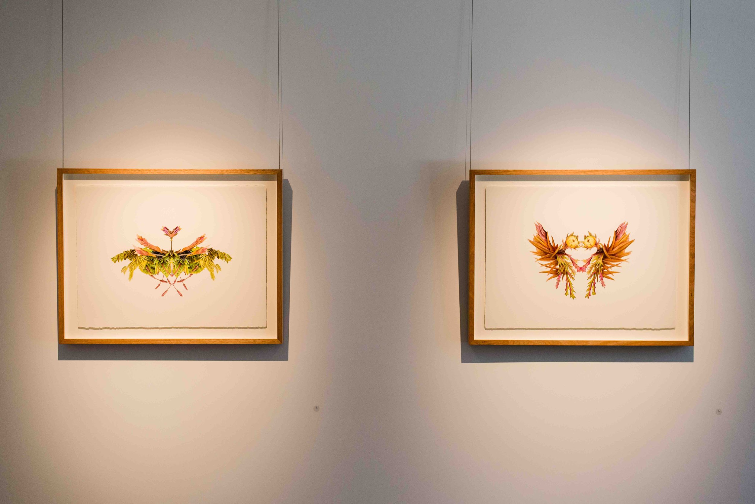 Moss 1 - 3 (Rockingham Arts Centre)