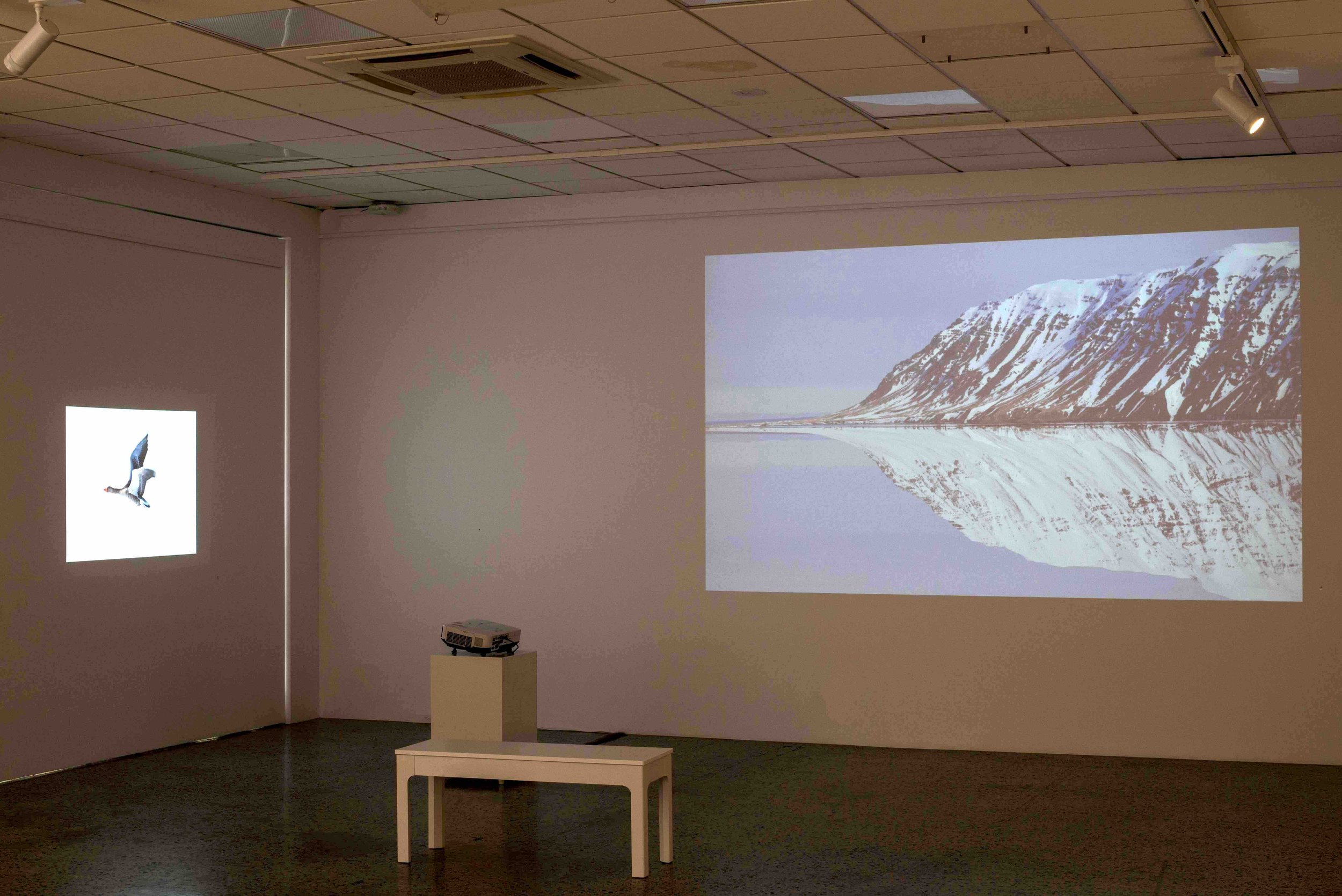 Digital works (Rockingham Arts Centre)