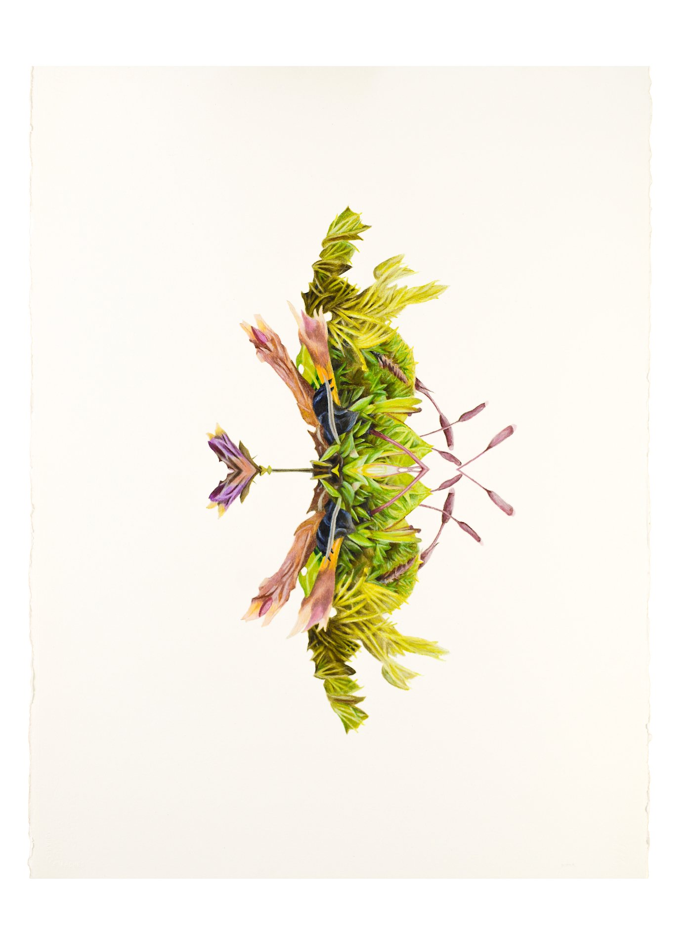 Moss 1