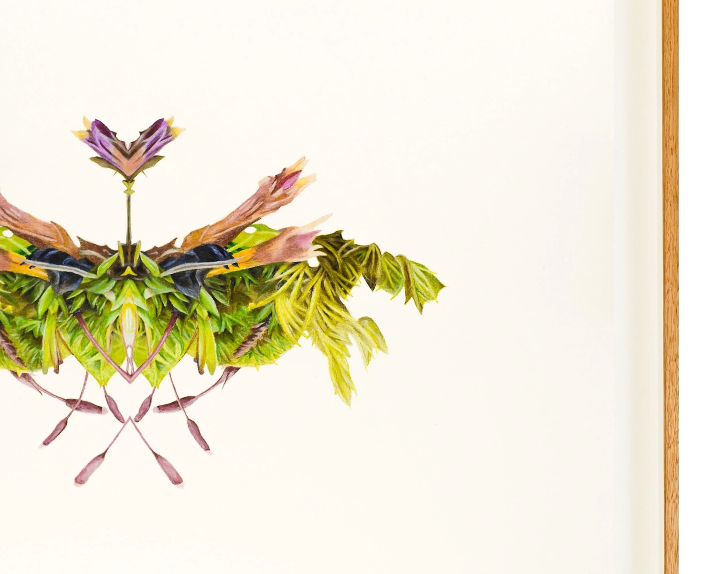 Moss 1 Frame detail Ross Potter WEB .jpg