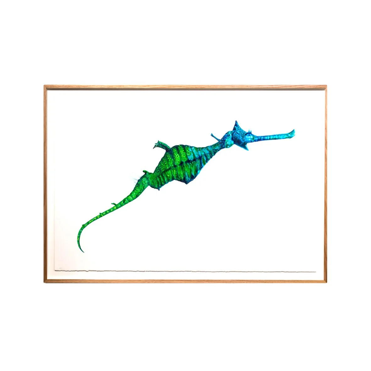 Sea Dragon Green Full web image .jpg