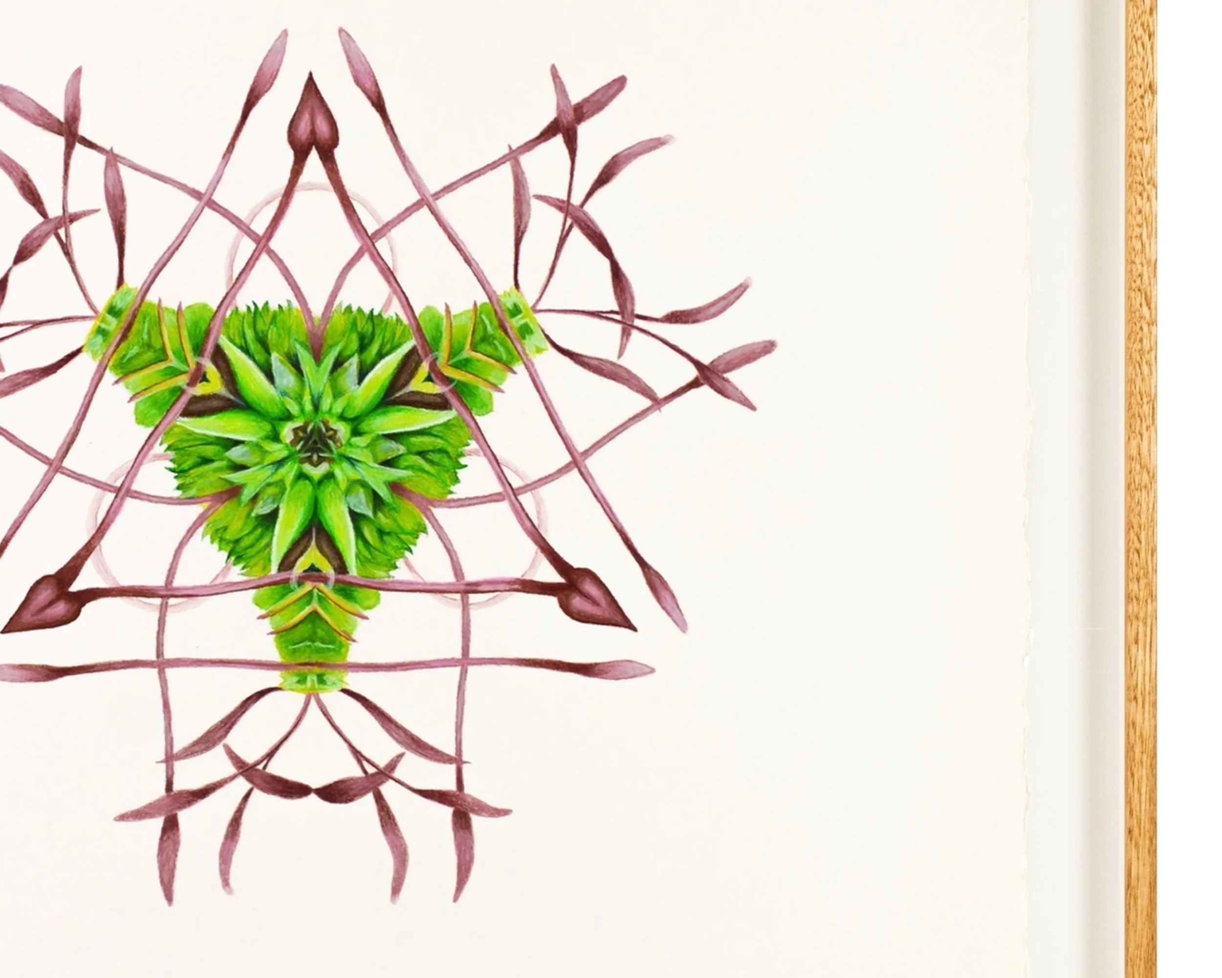 Moss 2 Frame Detail Ross Potter WEB .jpg