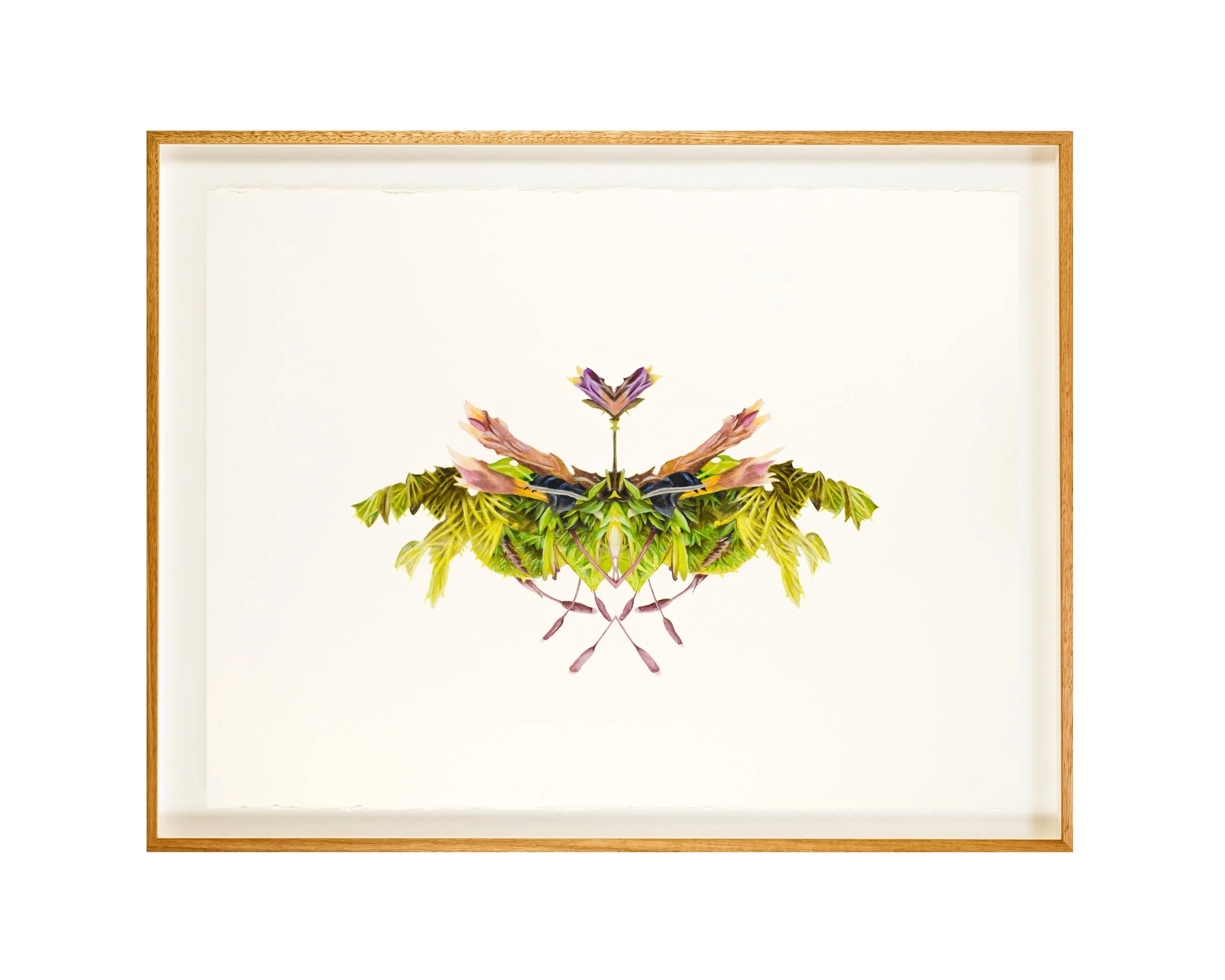 Moss 1 Frame Ross Potter WEB .jpg