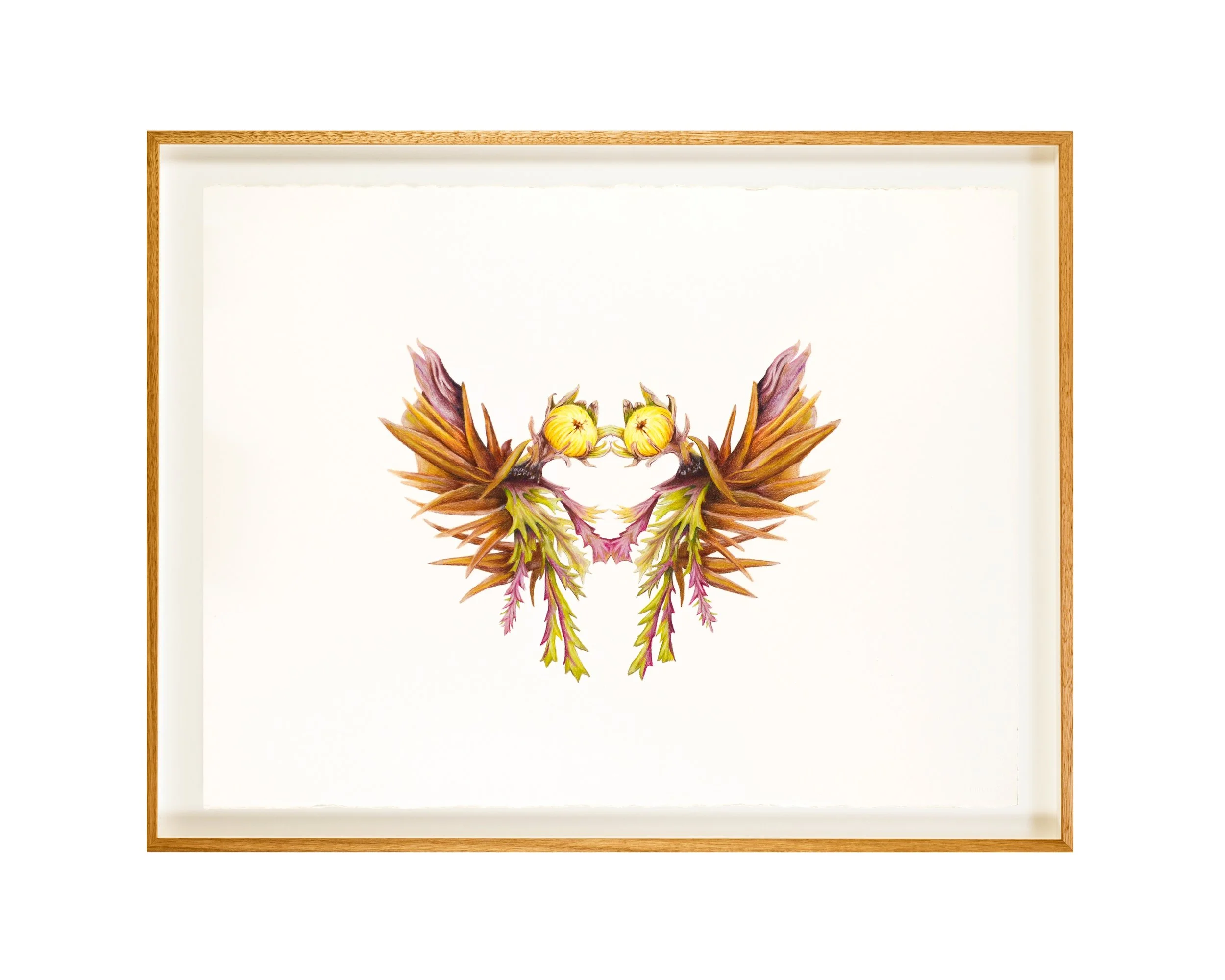 Moss 3 Ross Frame Potter WEB .jpg