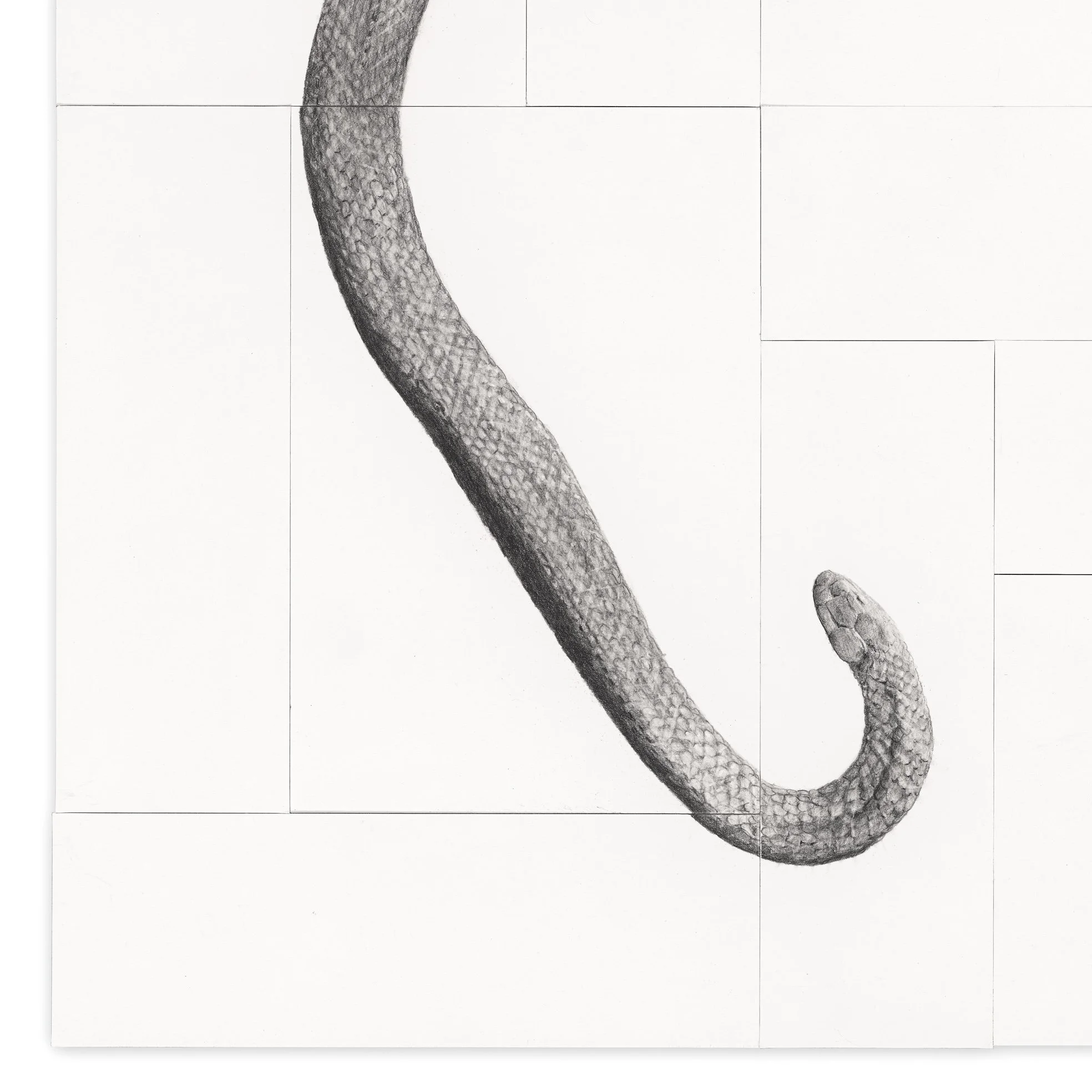 Beware the giant 2 (snake) detial .jpg