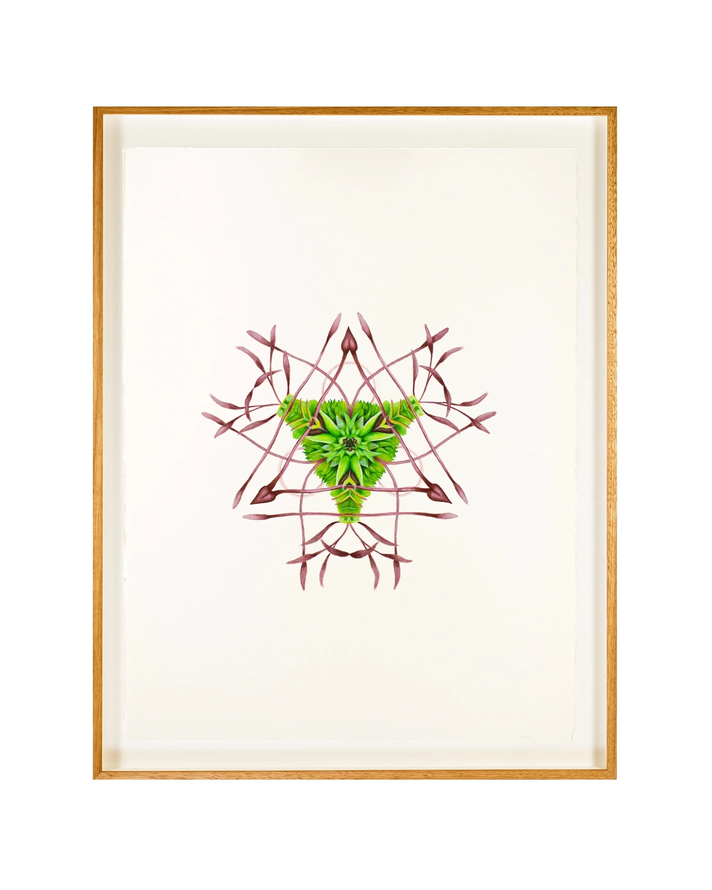 Moss 2 Frame  Ross Potter WEB .jpg