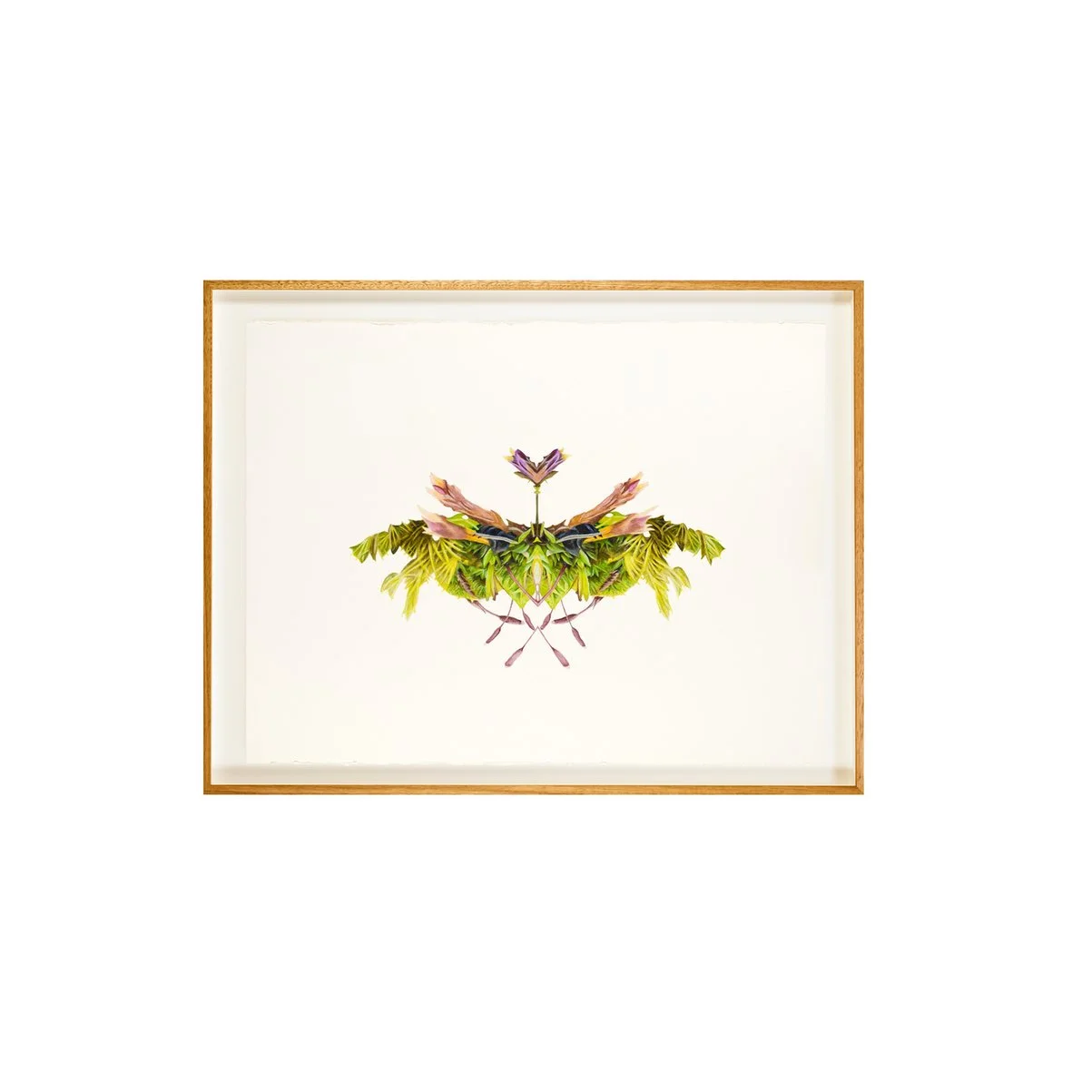 Moss 1 full web image.jpg