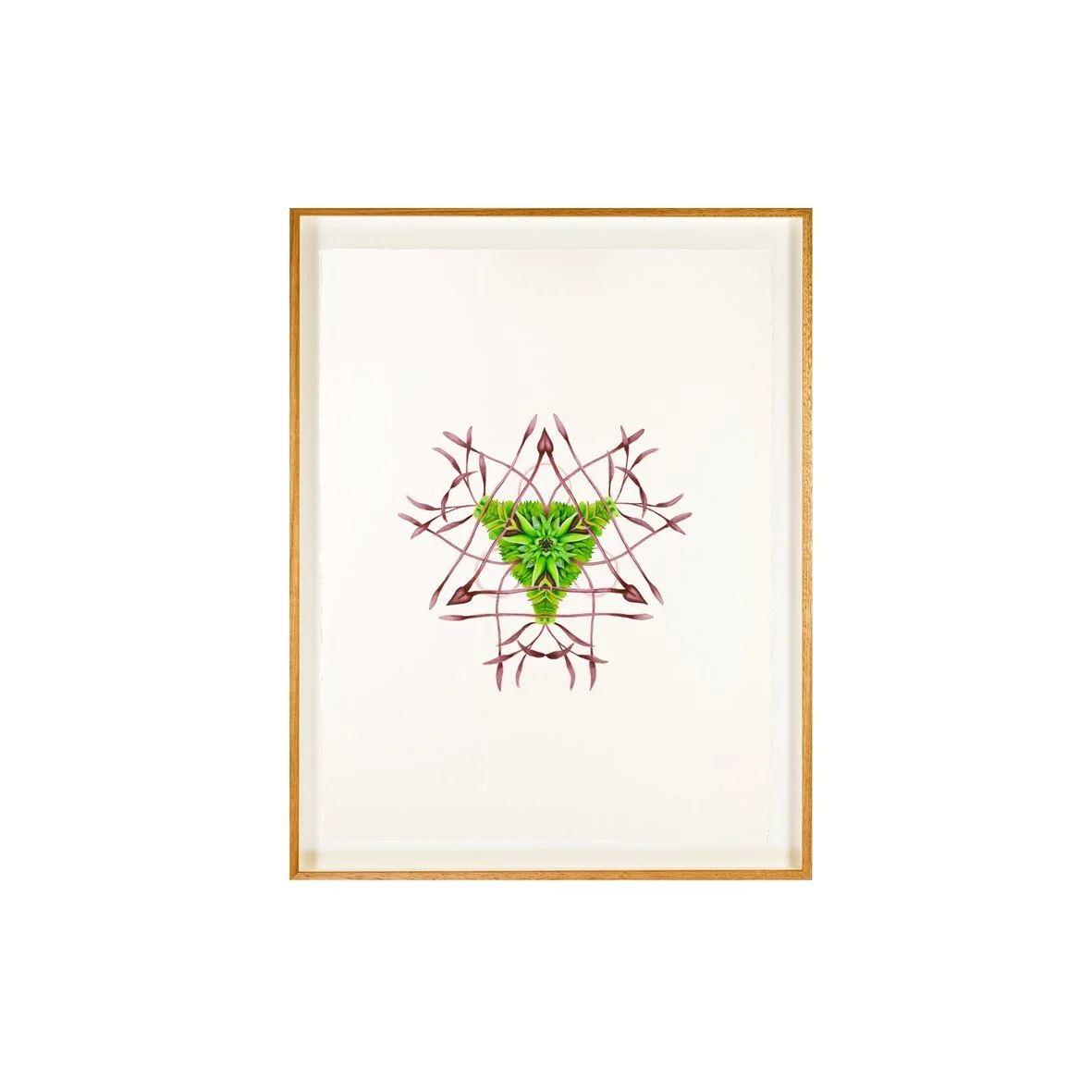 Moss 2 Full web image .jpg