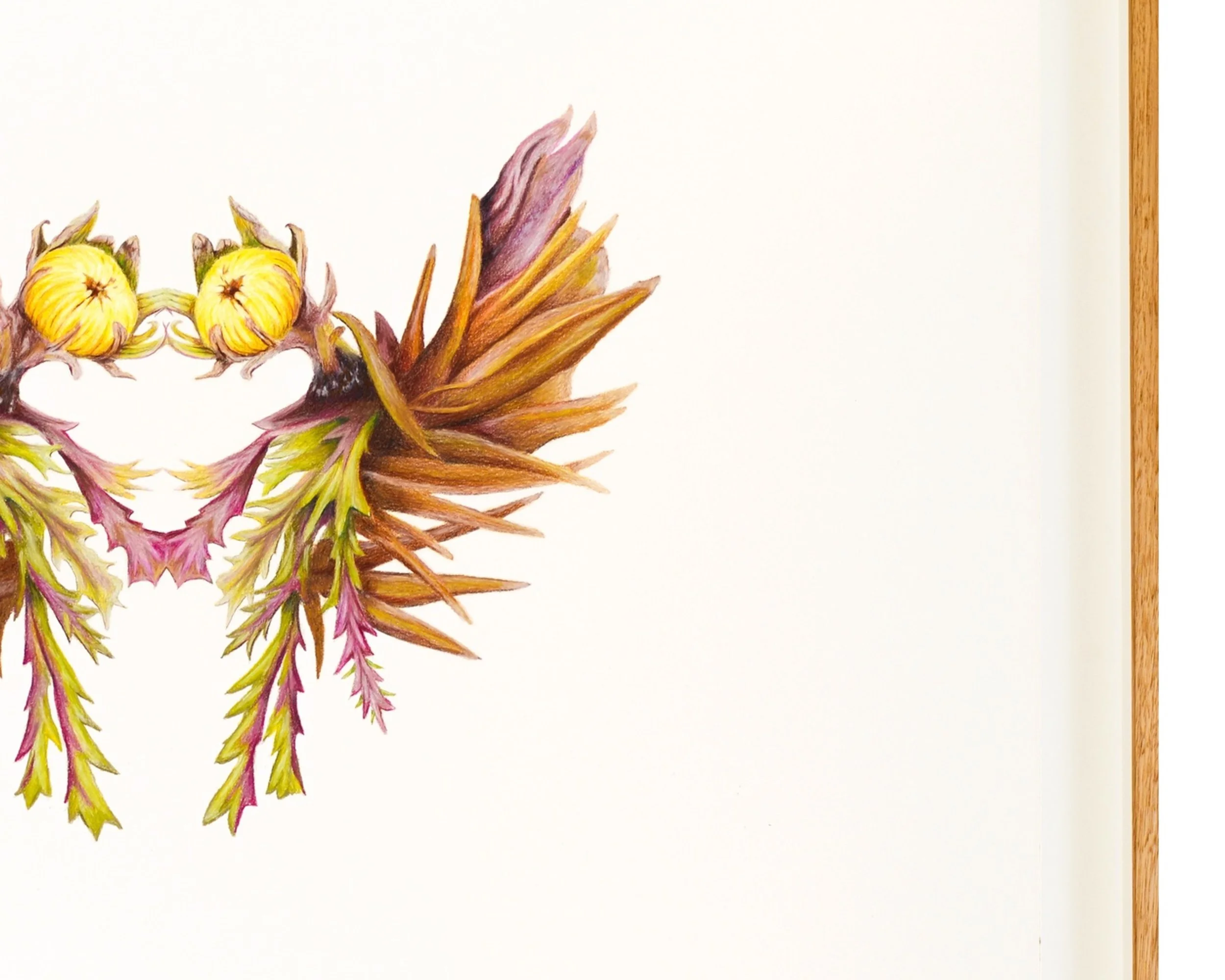 Moss 3 Frame Detail Ross Potter WEB .jpg