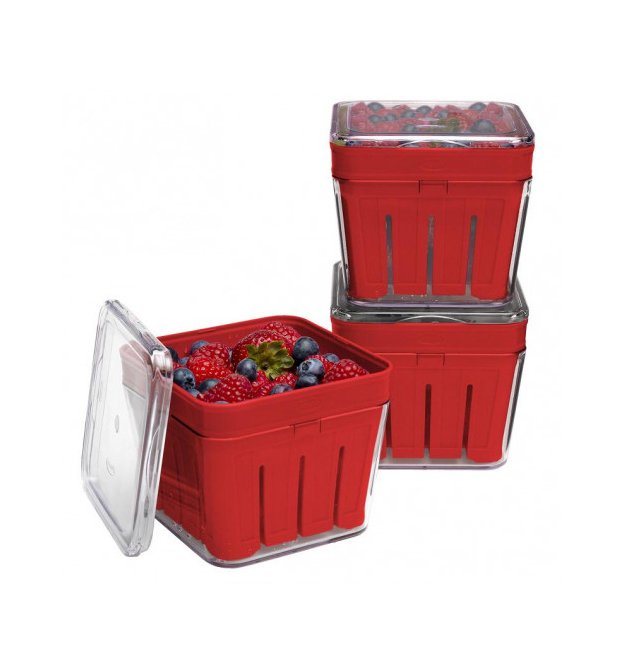 berry_basket_3.jpg