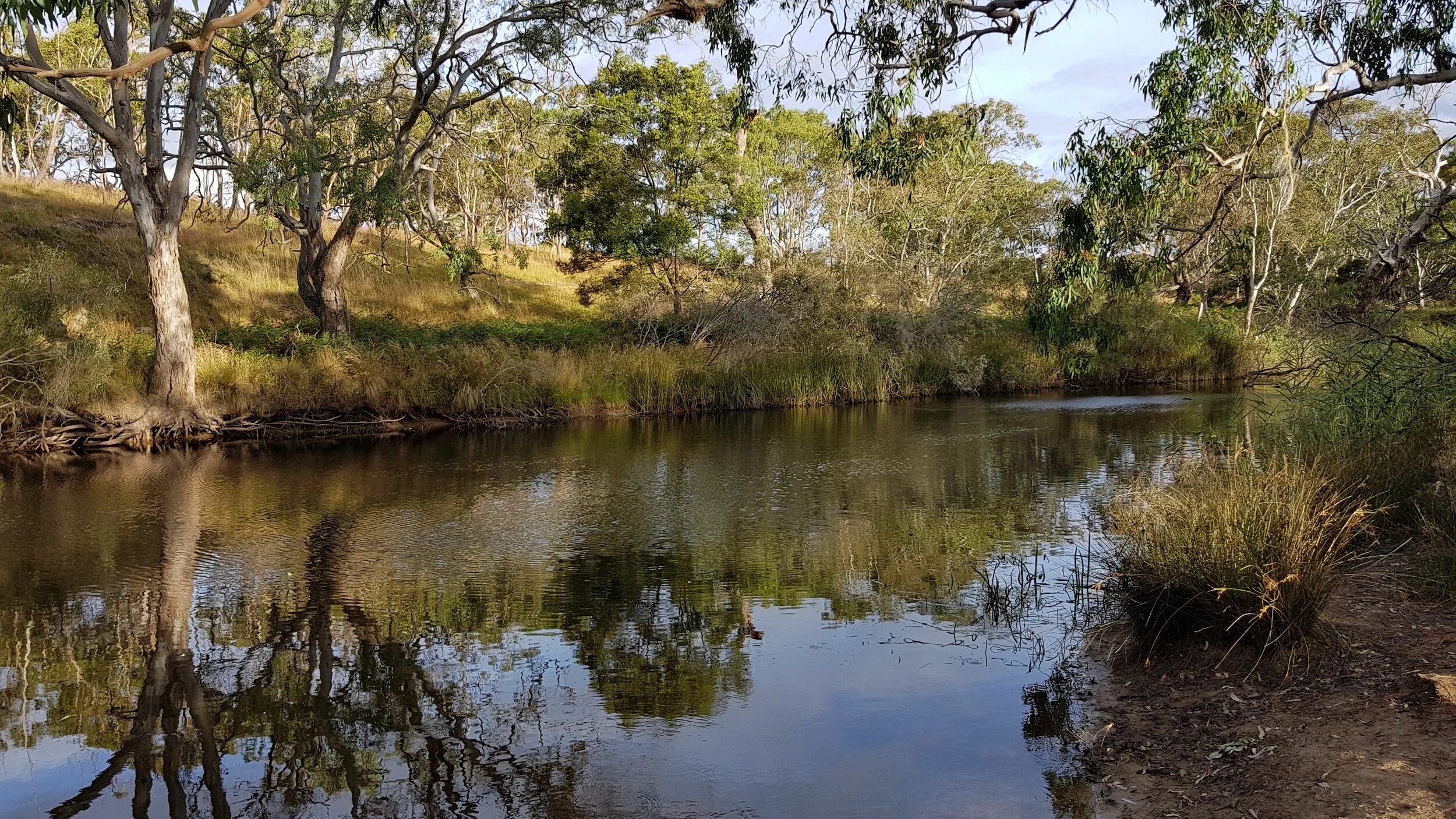 20180102_194647.jpg