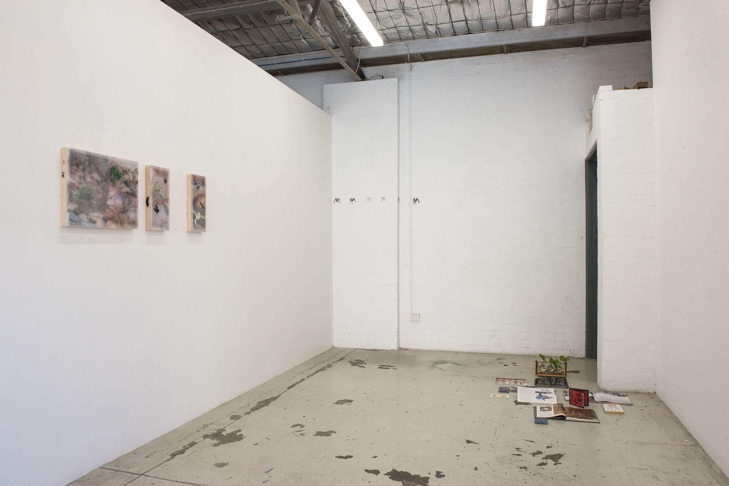   panoply (she dresses up like that to go out for noodles?)    Installation view at TCB.   Image courtesy of Jordan Halsall. 