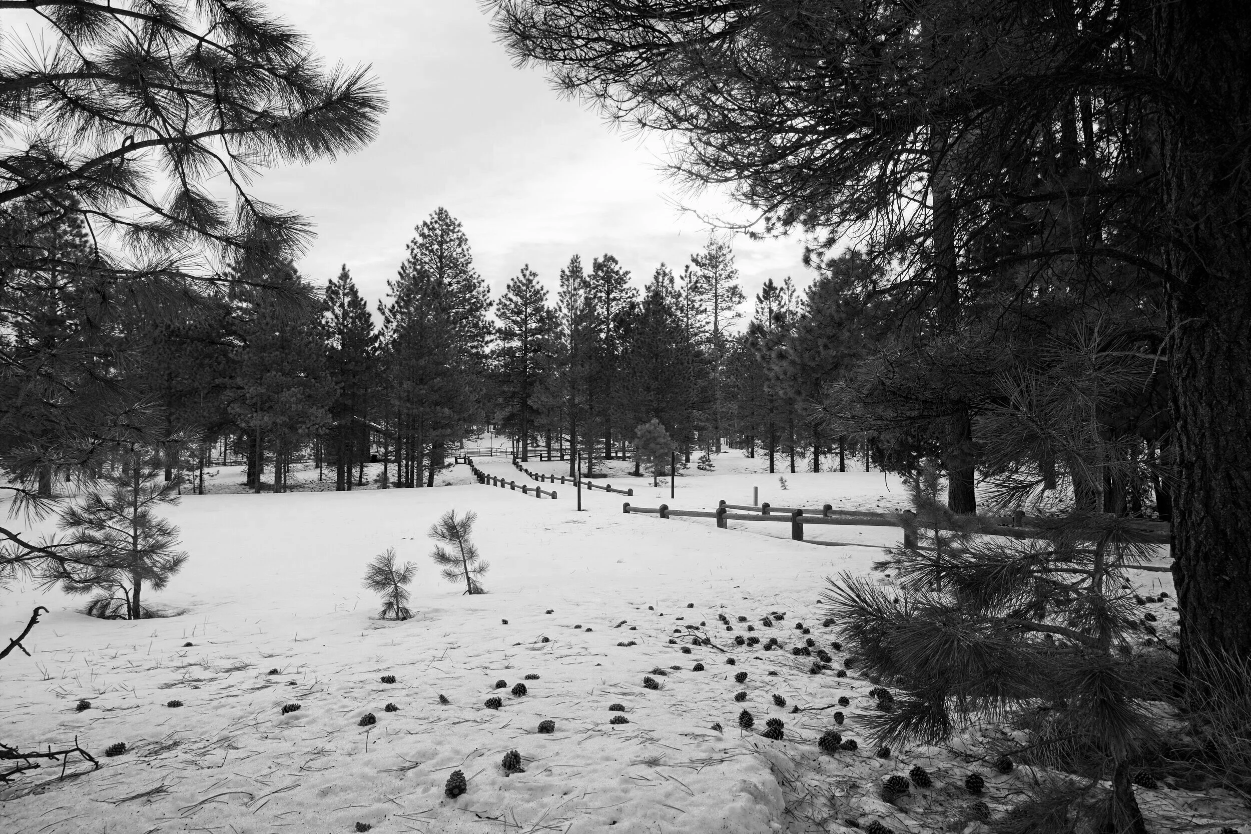 Black and White Photography with Sĩ Huỳnh