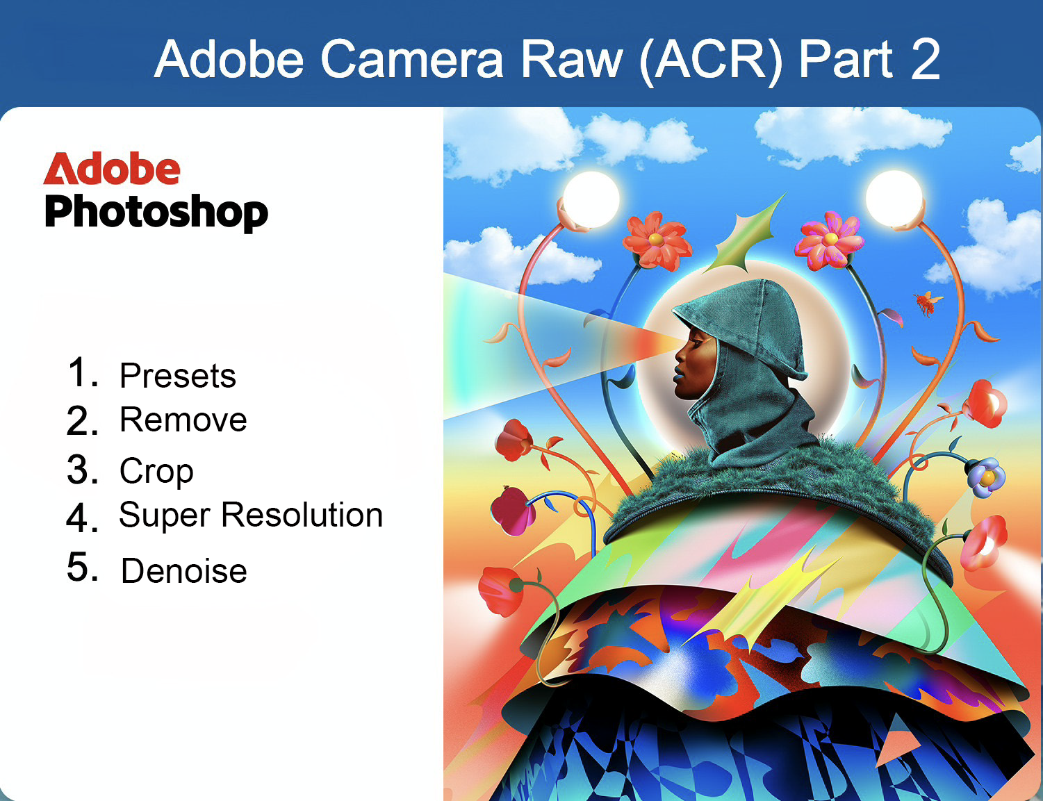PS - Adobe Camera RAW part 2