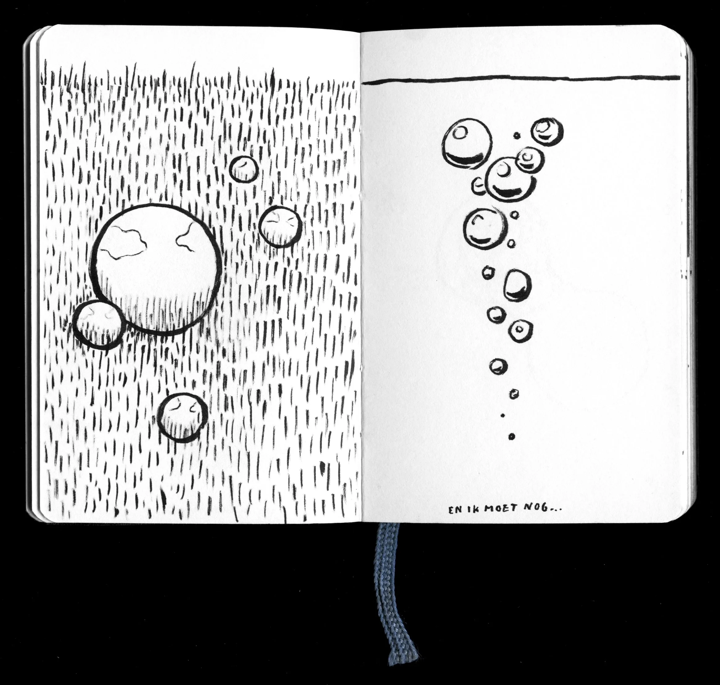 020 copy.jpg