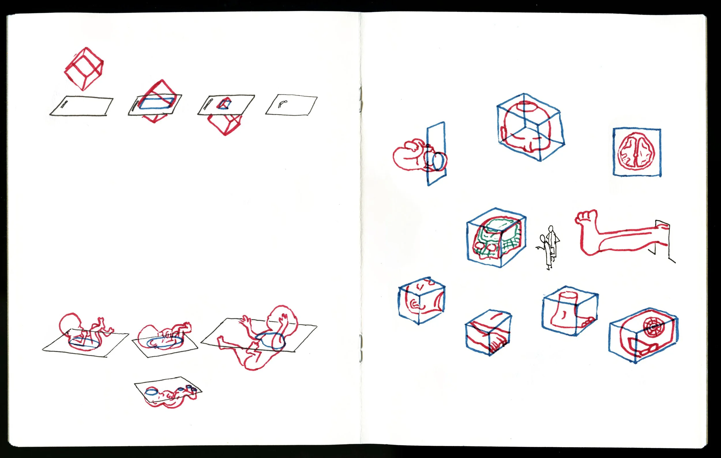 010a copy.jpg