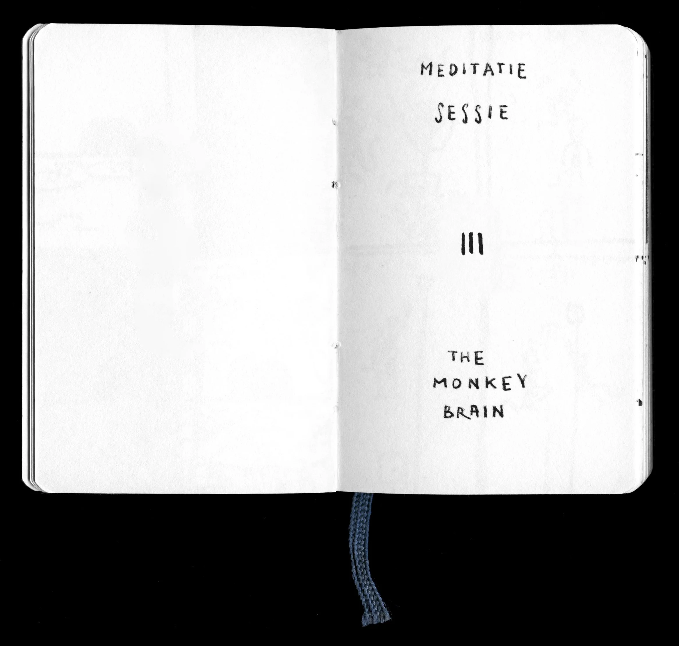 015 copy.jpg