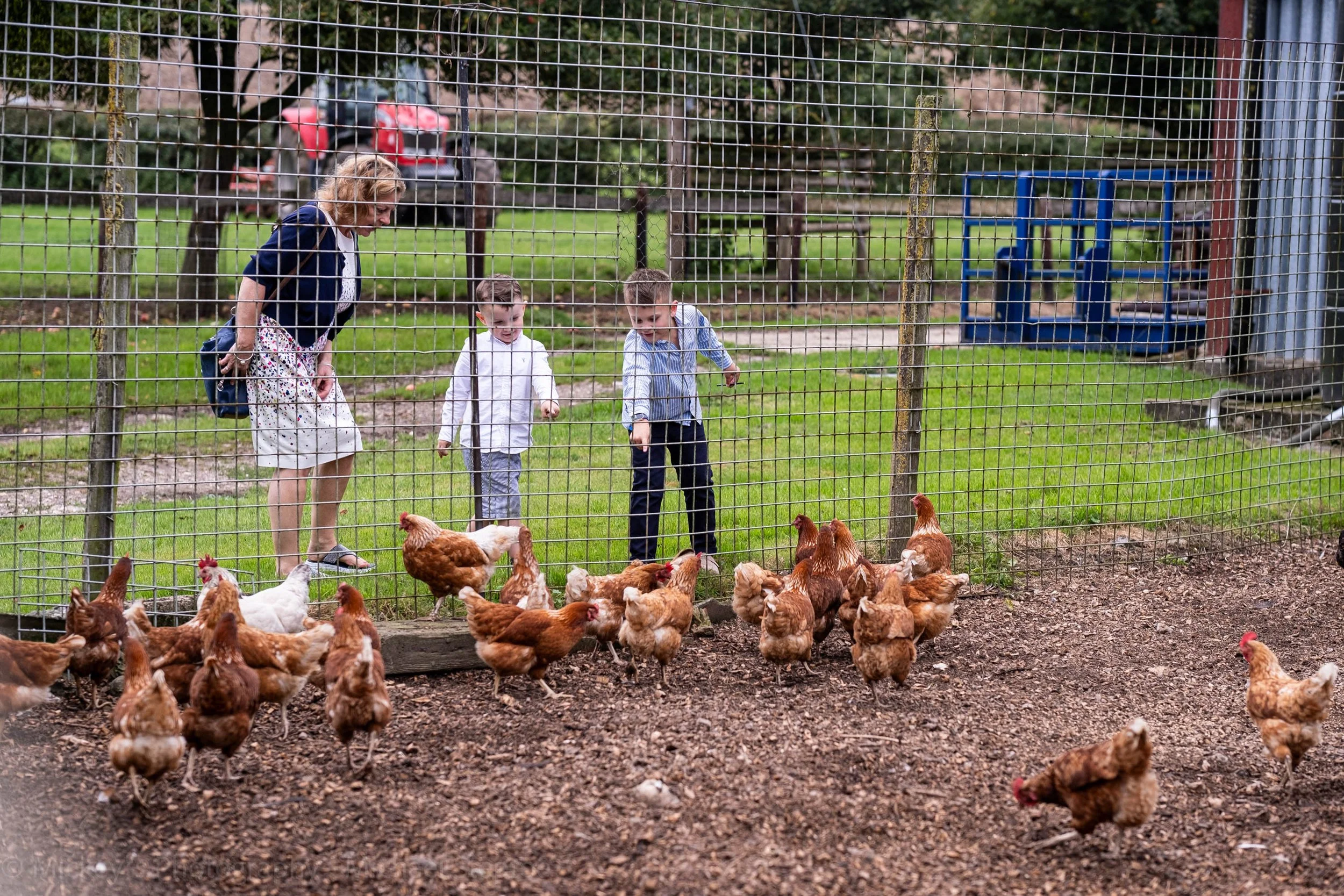 A woman and two young children pause by a wire fence at a rustic Oxfordshire farm wedding, excited in seeing wandering flock of chickens.