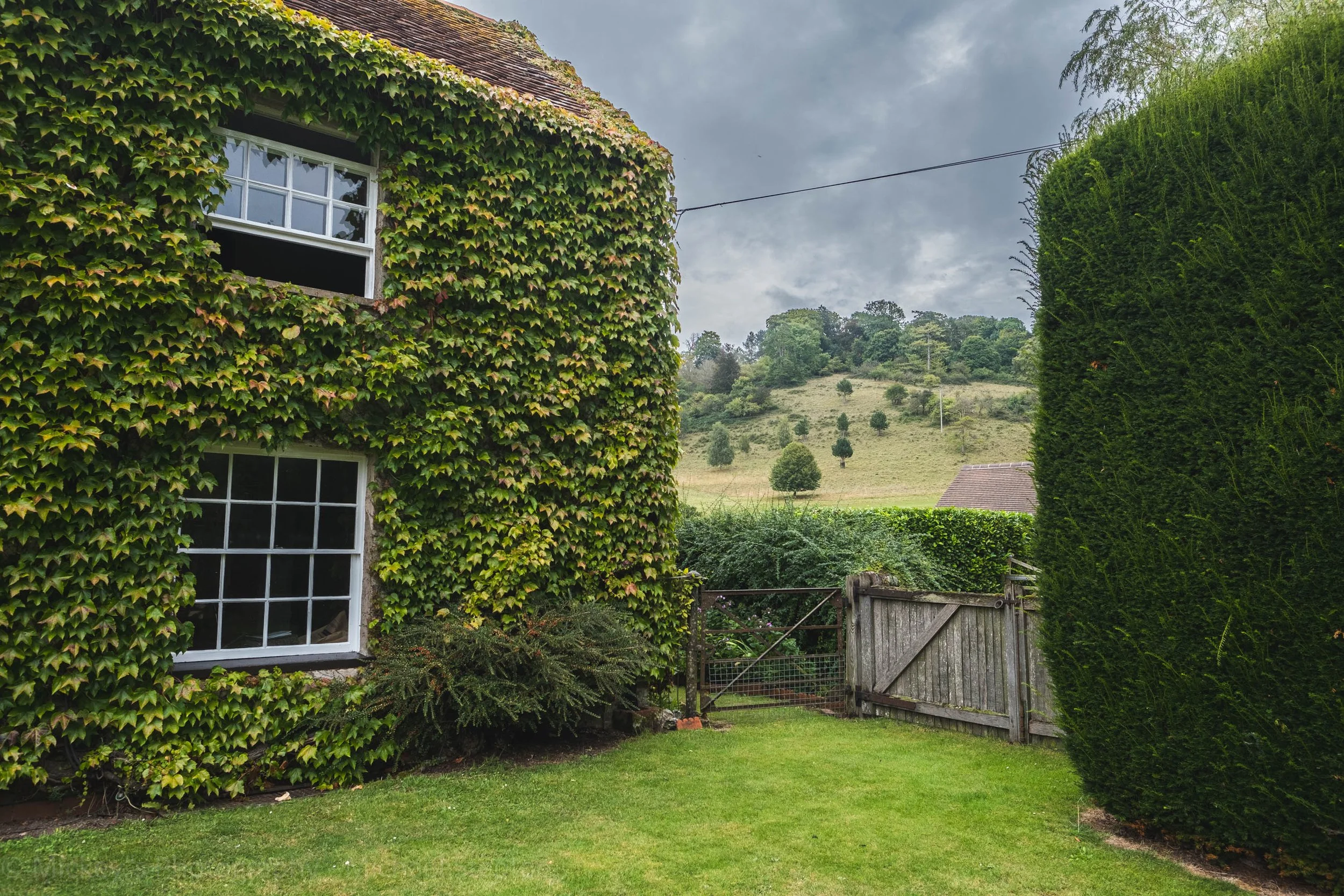 A view from White Pond Farm looking at the landscape of Stoner park.