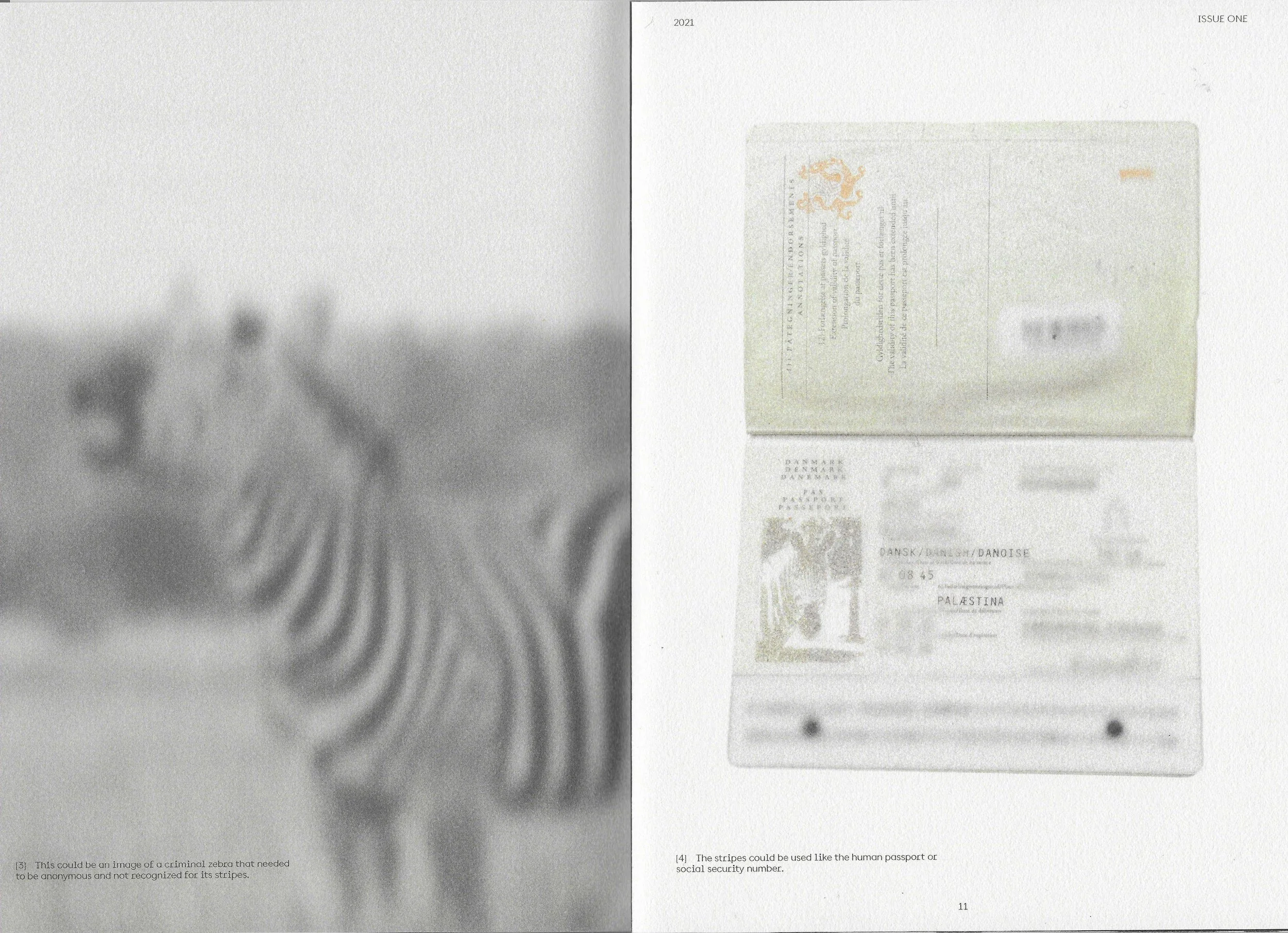 Zebra Zine 5.jpg
