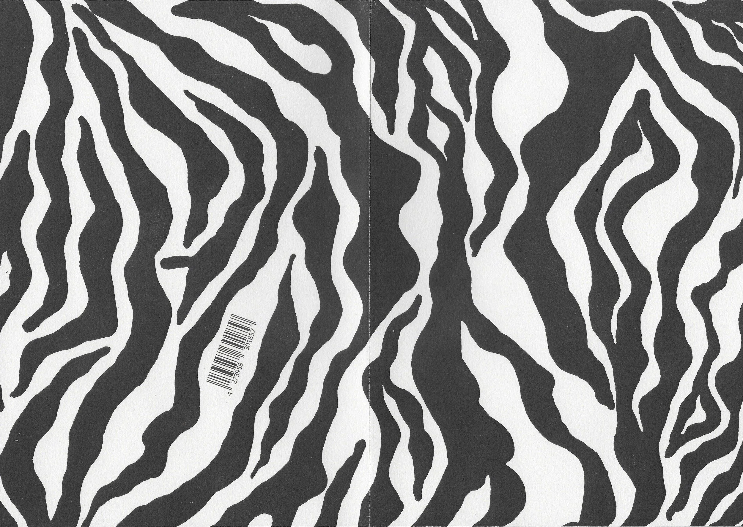 Zebra Zine
