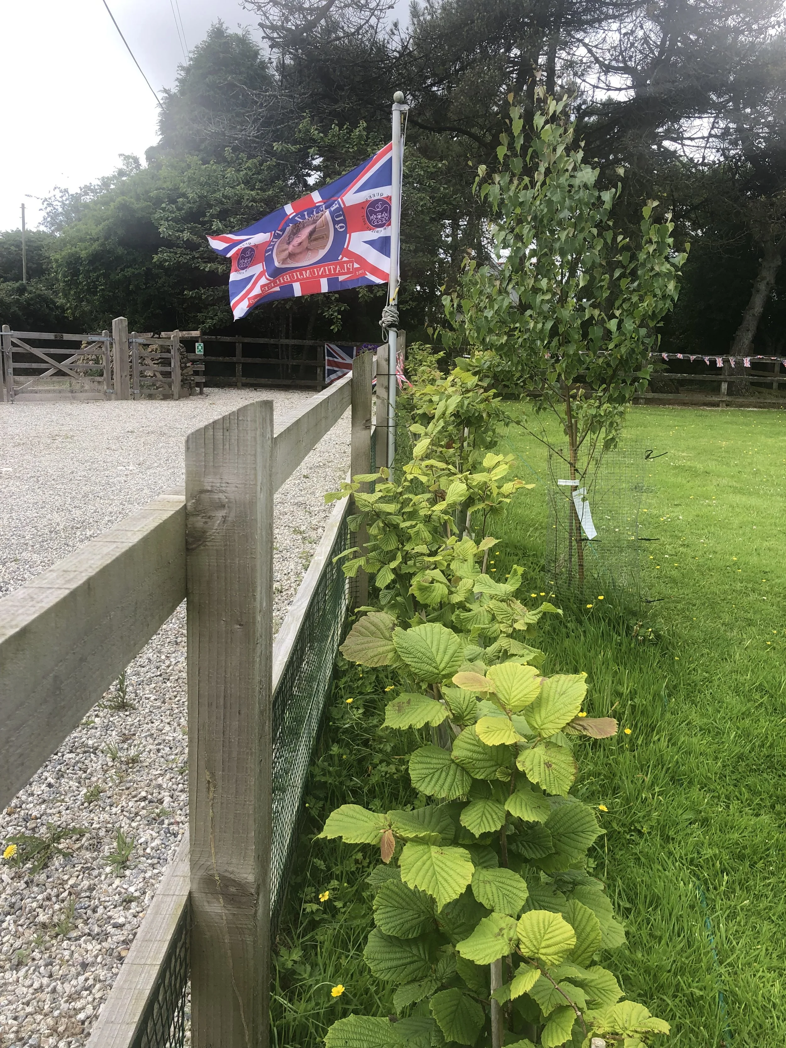 IMG_0356 (1).jpeg