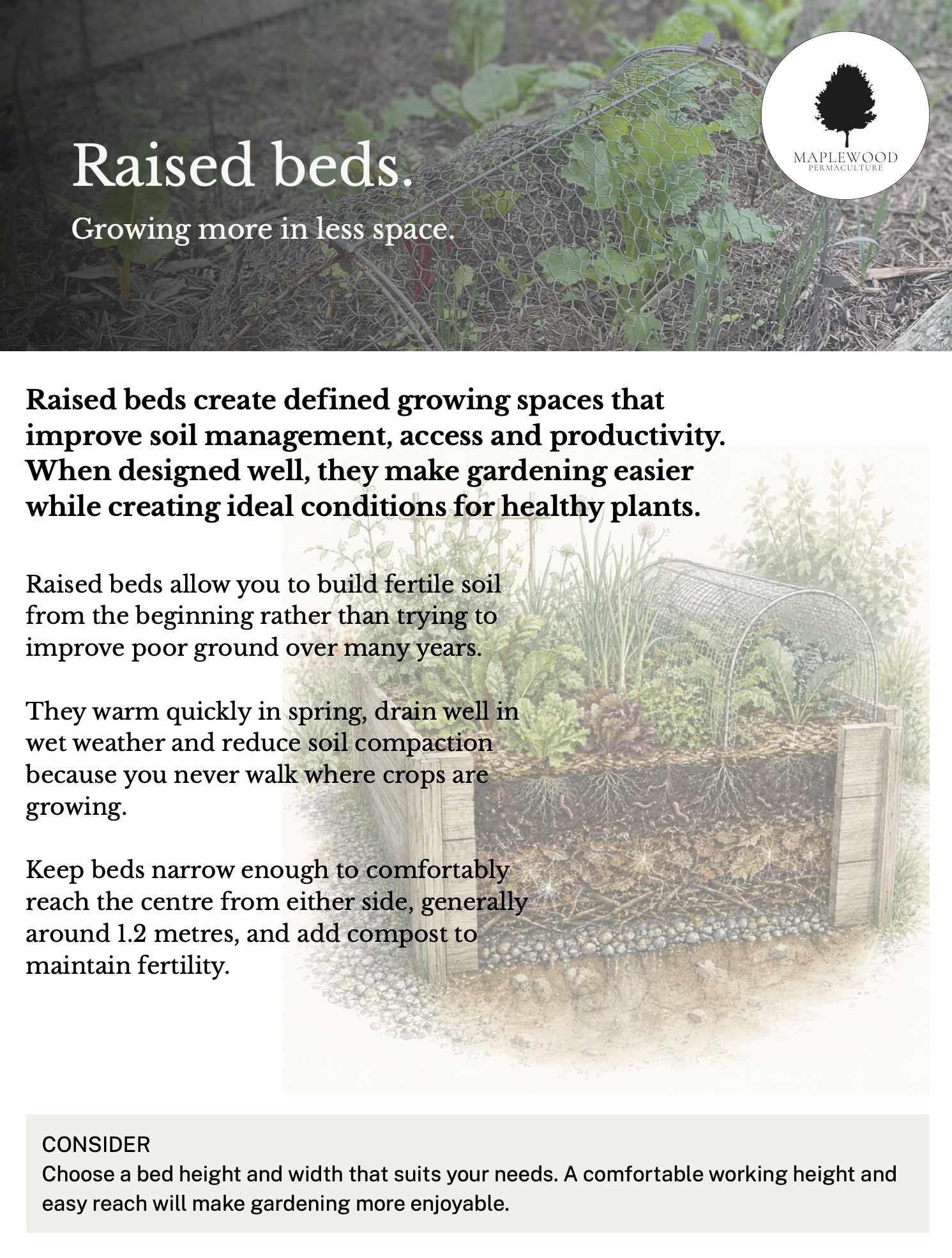 Raised Beds
