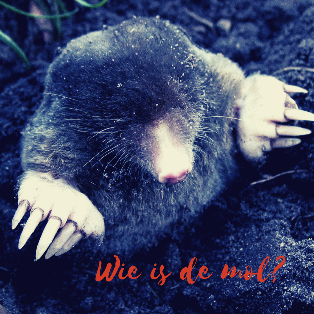 De kracht van Filters