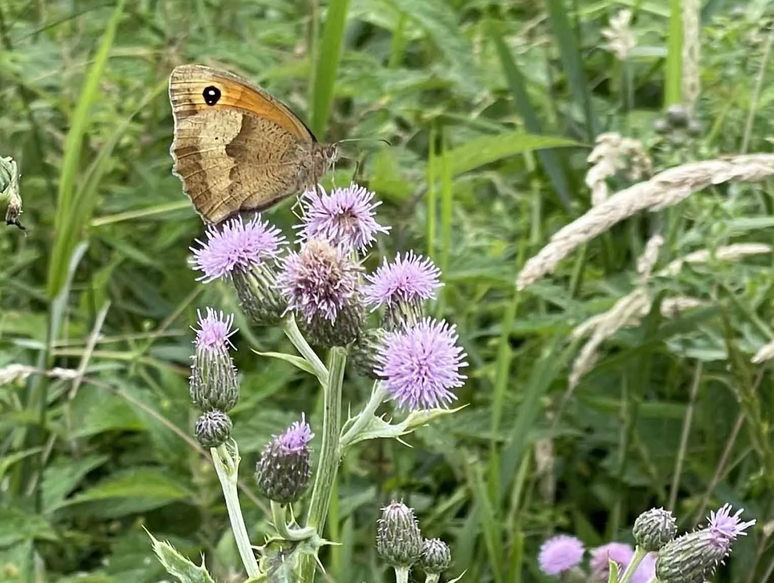 Do Less and Get More