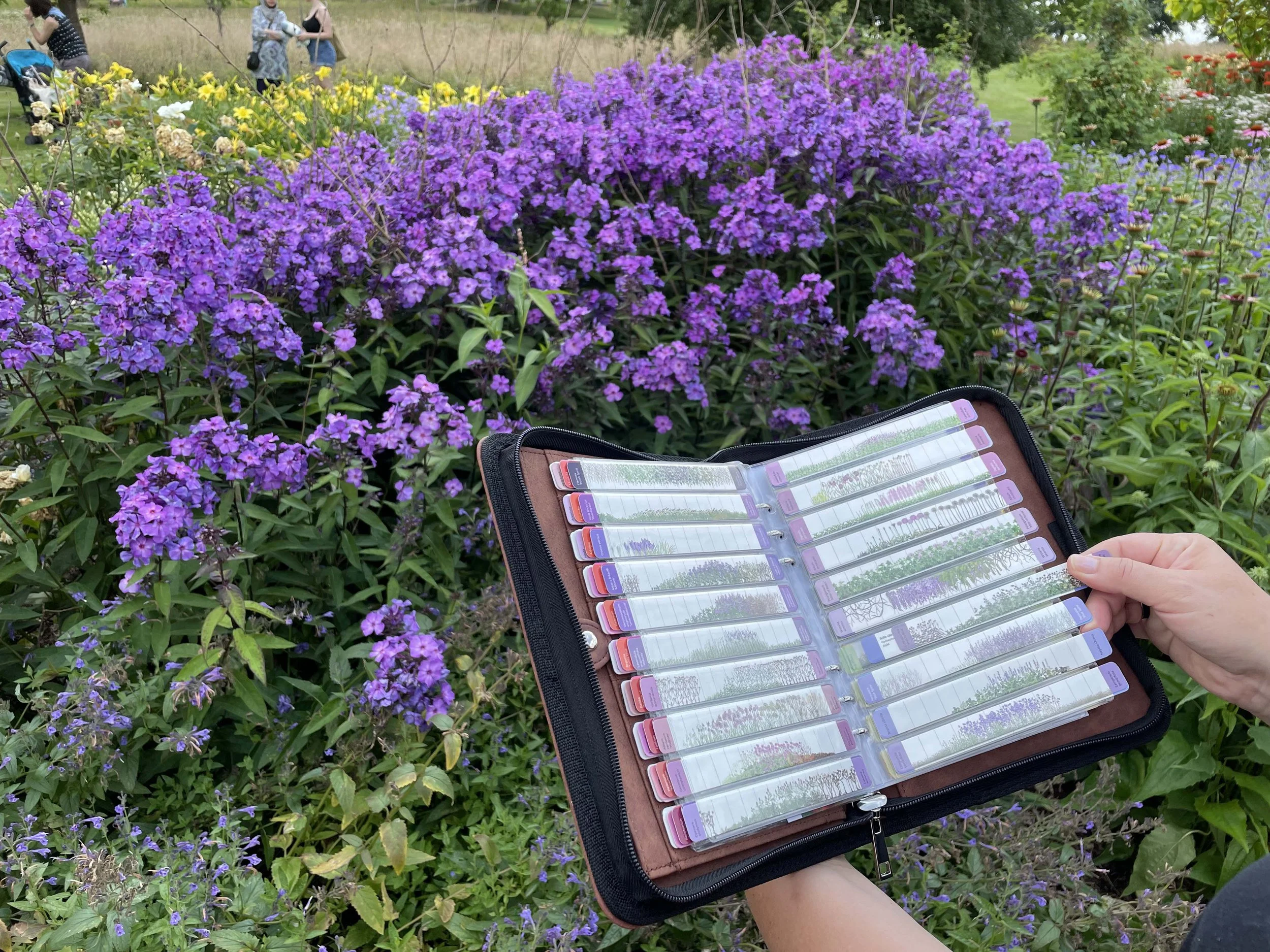 SeeHow Flower Guide