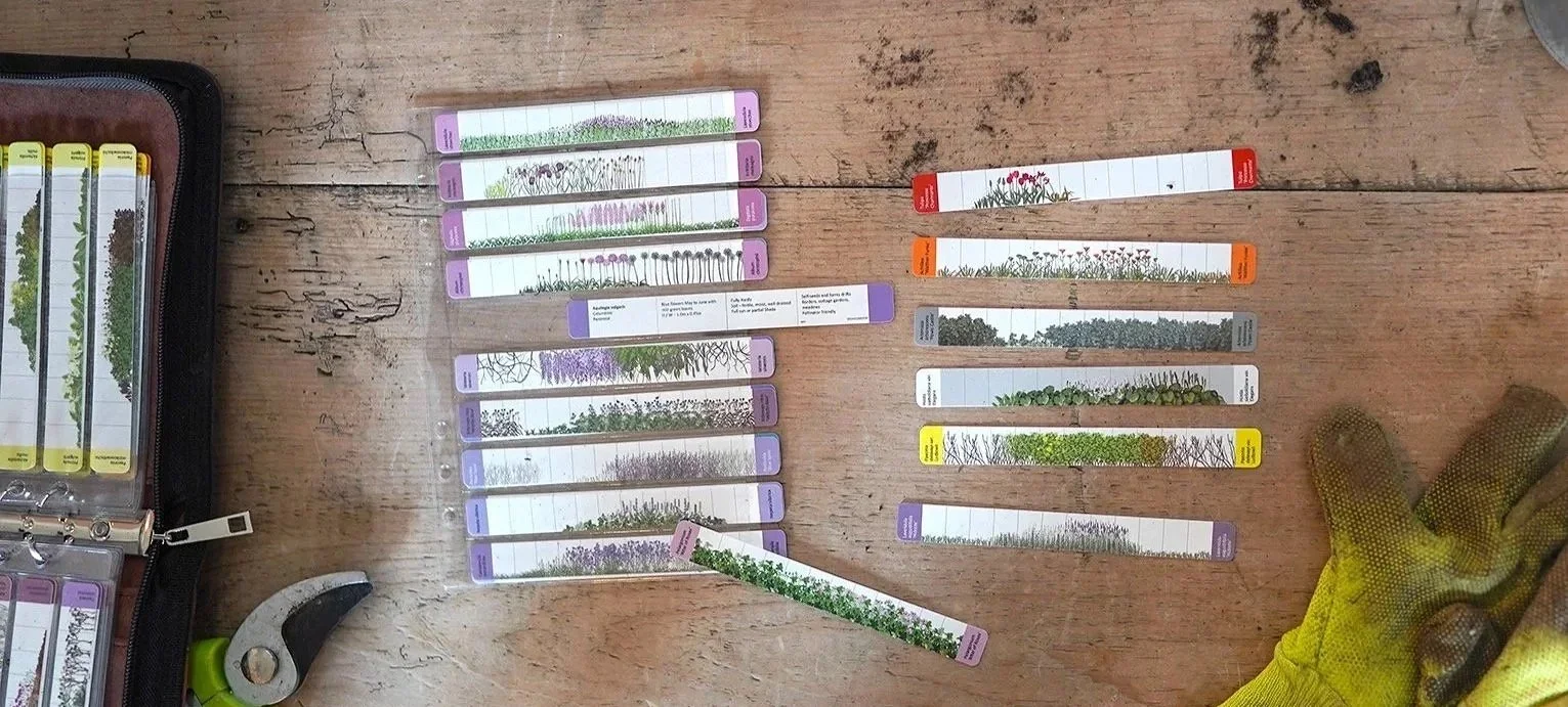 Image of flower sticks